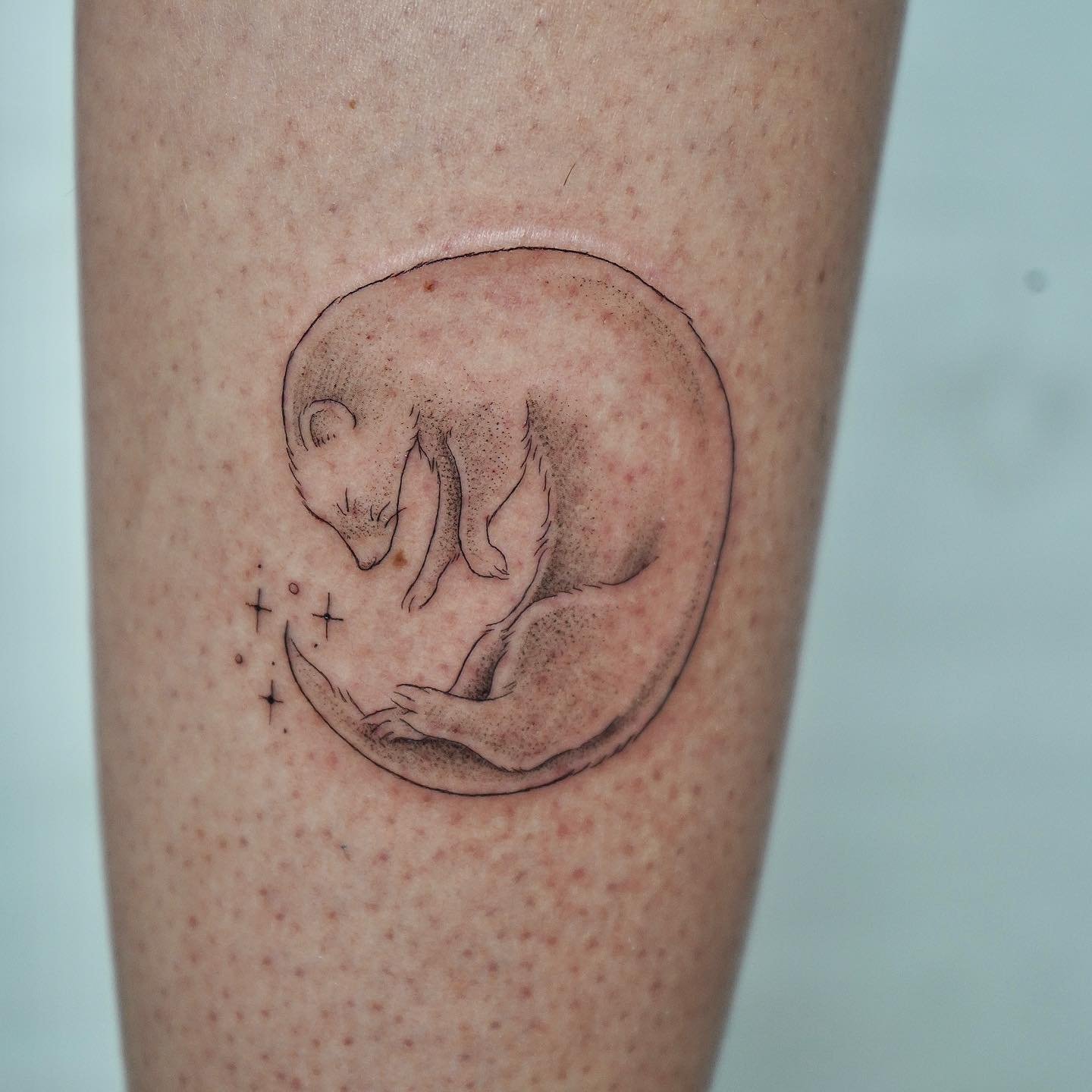 Tatuaje de pet en antebrazo, línea fina Sinkply Madrid