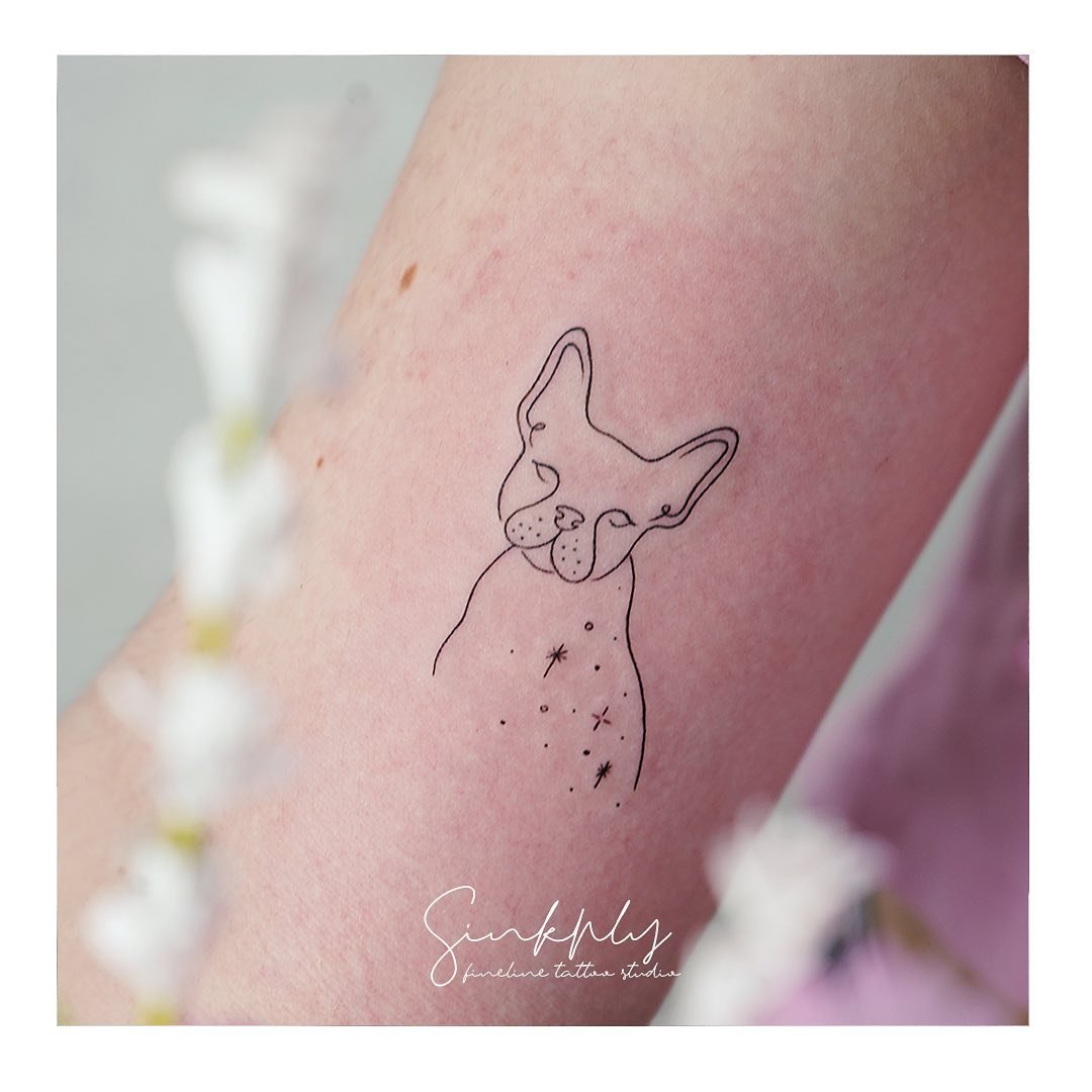 Tatuaje de pet en antebrazo, línea fina Sinkply Madrid