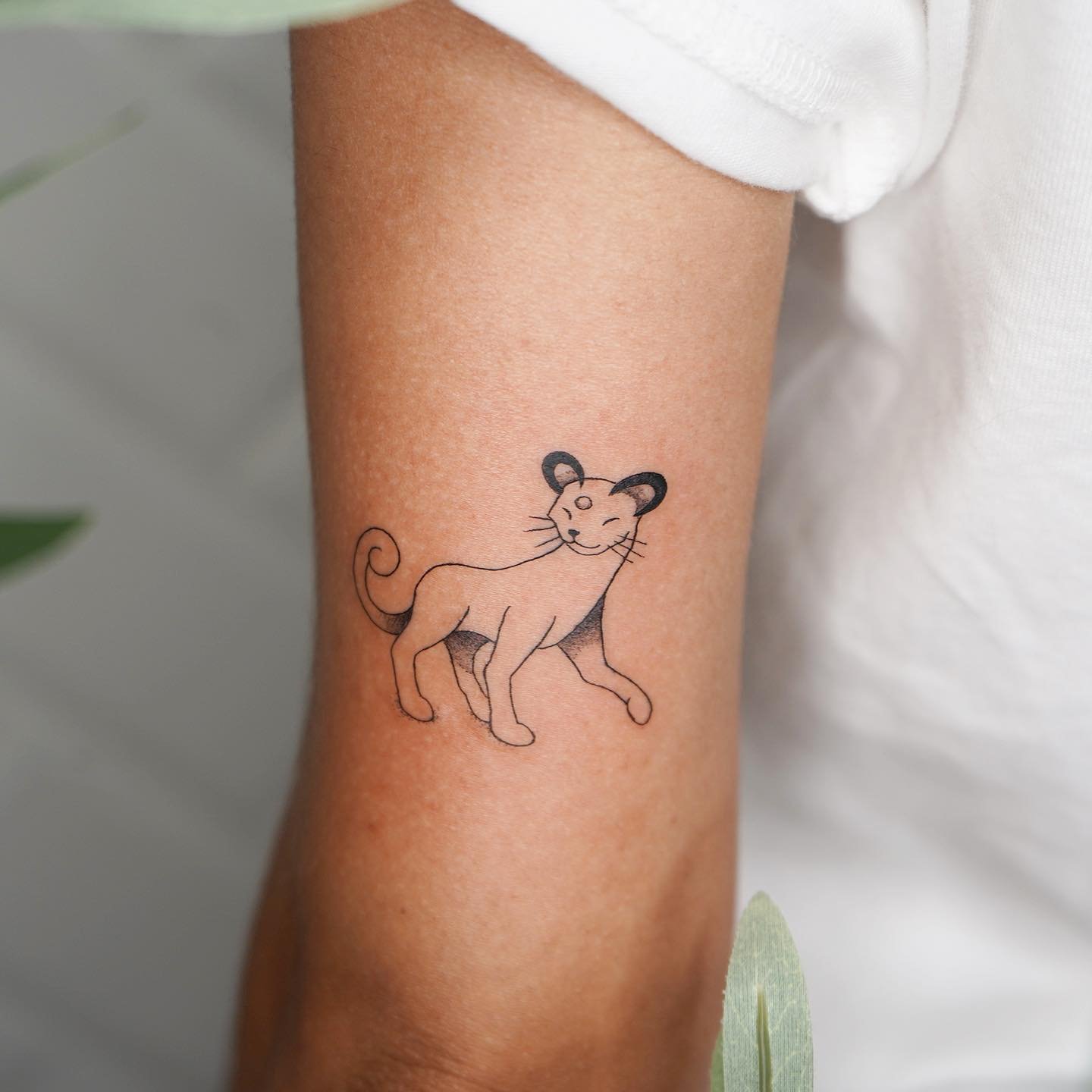 Tatuaje de pet en antebrazo, línea fina Sinkply Madrid