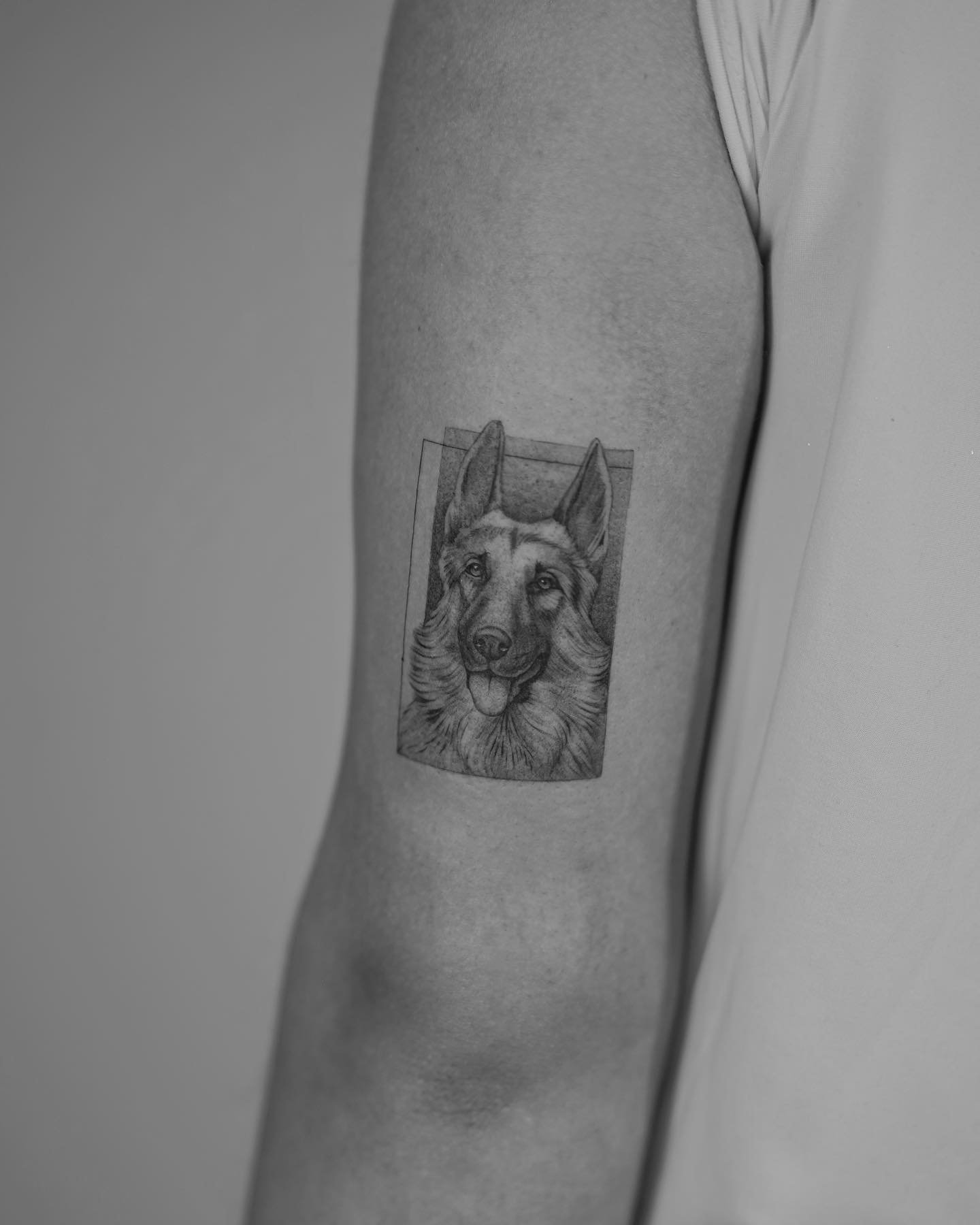Tatuaje de pet en antebrazo, línea fina Sinkply Madrid