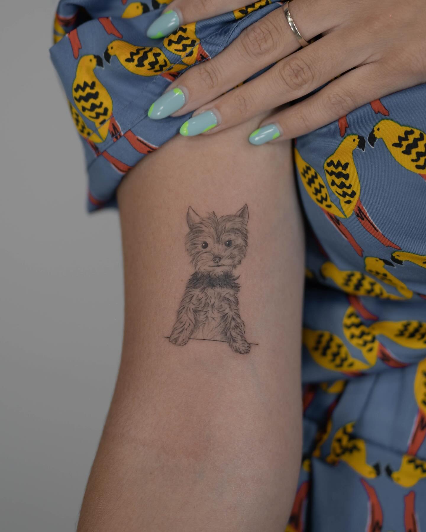 Tatuaje de pet en antebrazo, línea fina Sinkply Madrid