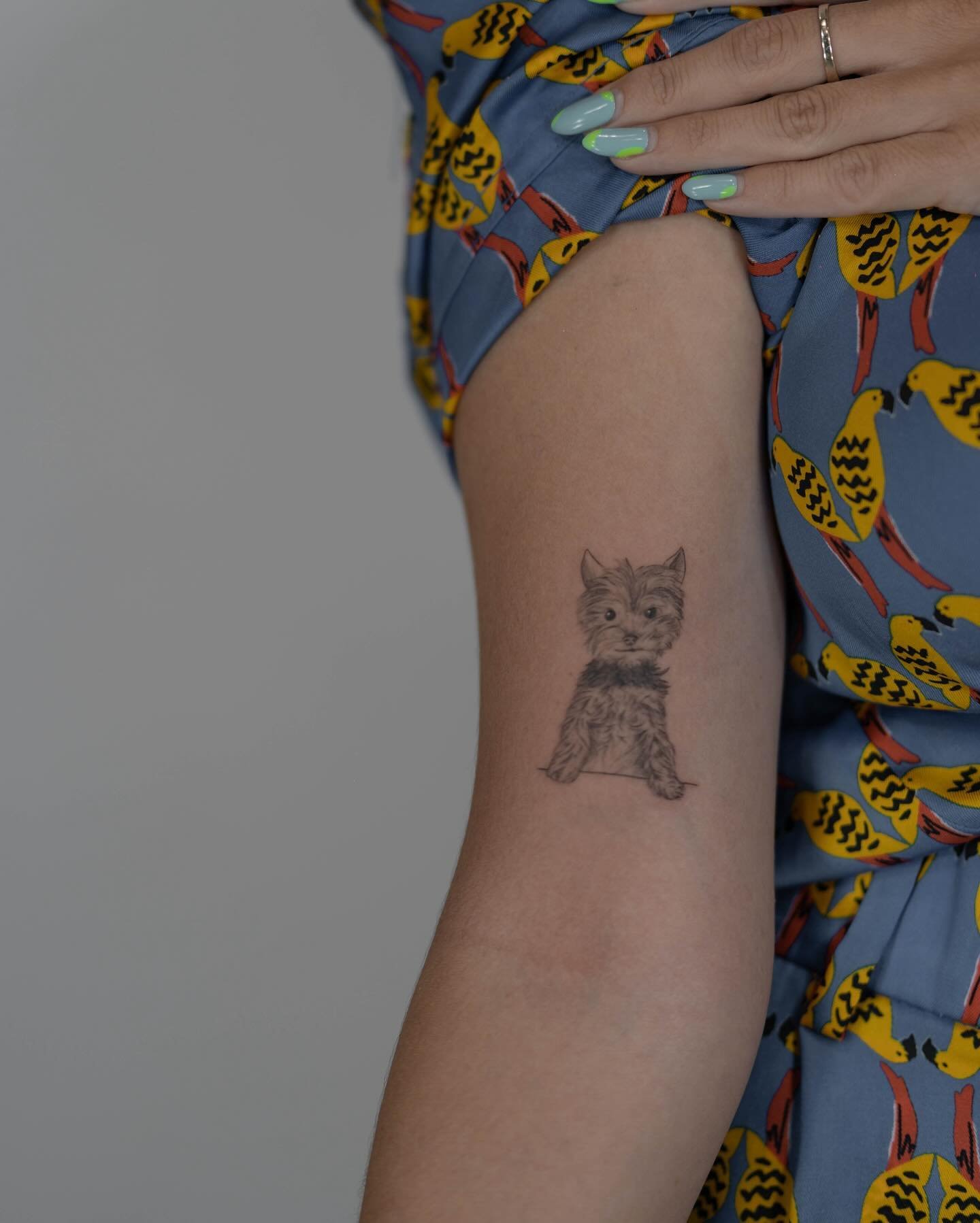 Tatuaje de pet en antebrazo, línea fina Sinkply Madrid