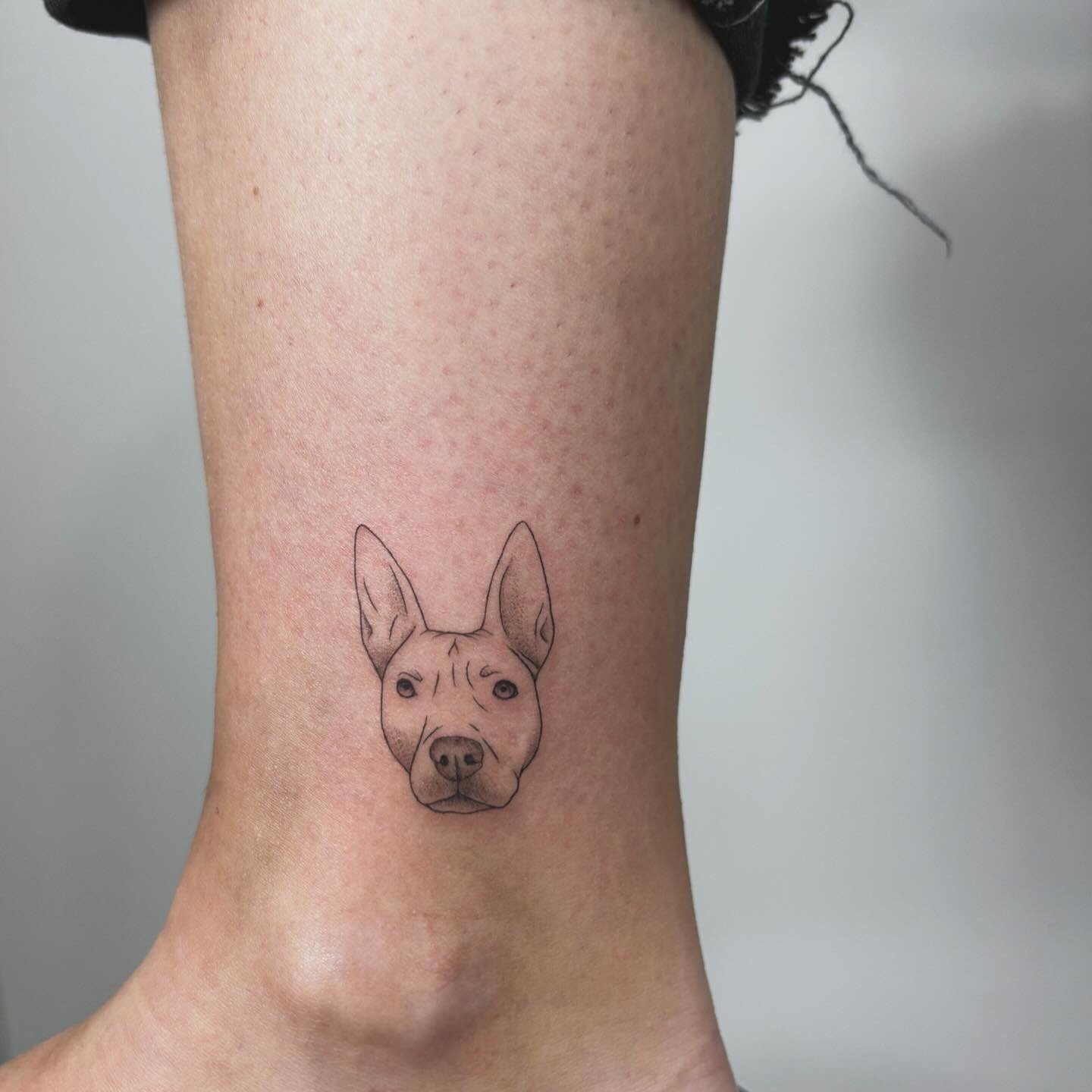 Tatuaje de pet en antebrazo, línea fina Sinkply Madrid