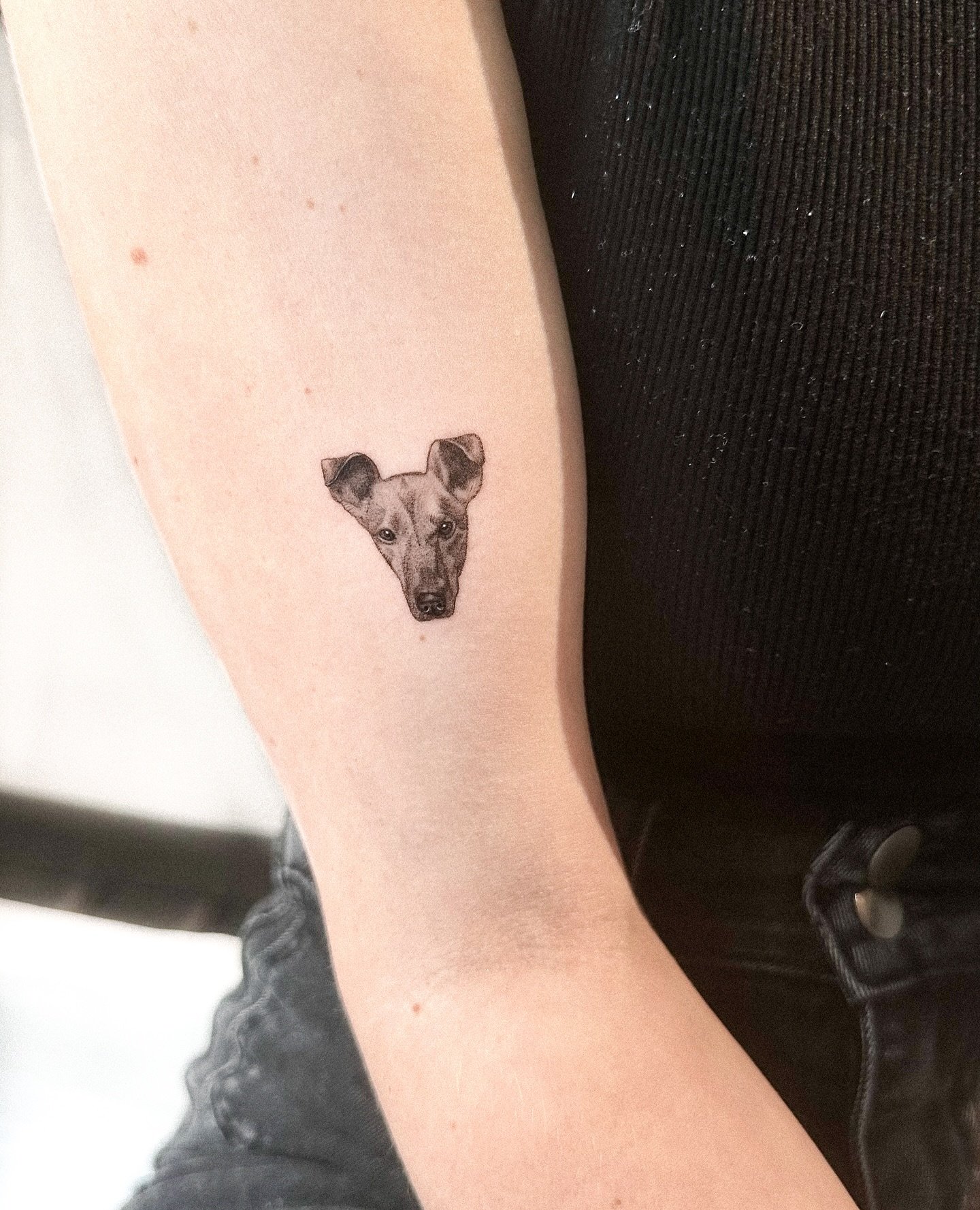 Tatuaje de pet en antebrazo, línea fina Sinkply Madrid