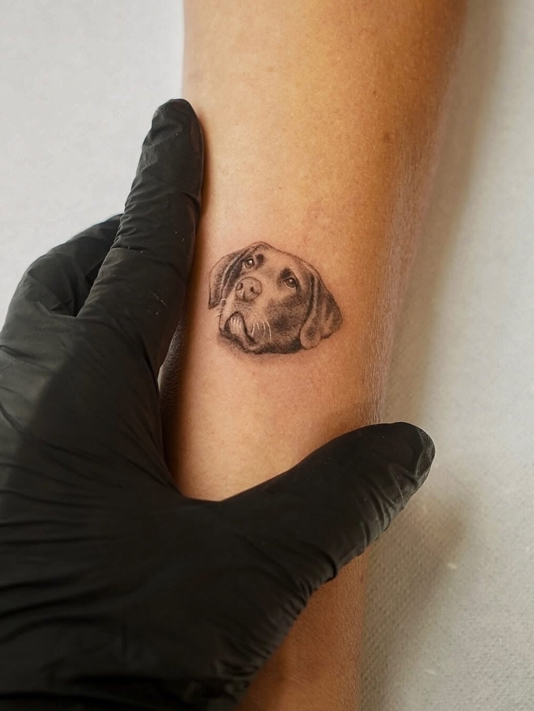 Tatuaje de pet en antebrazo, línea fina Sinkply Madrid