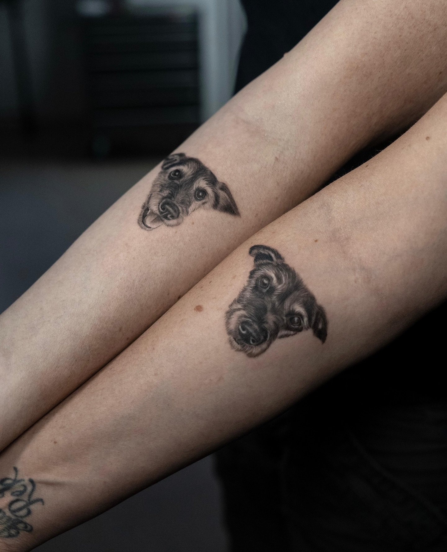 Tatuaje de pet en antebrazo, línea fina Sinkply Madrid