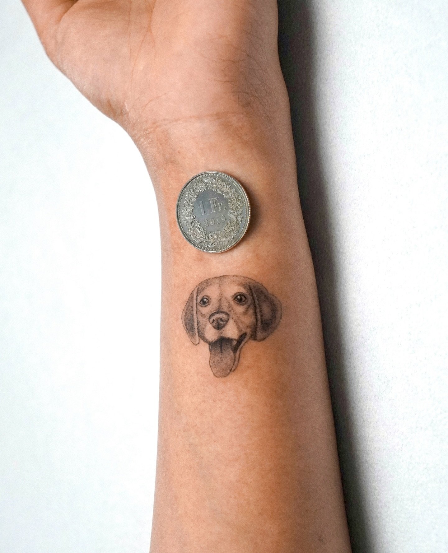 Tatuaje de pet en antebrazo, línea fina Sinkply Madrid