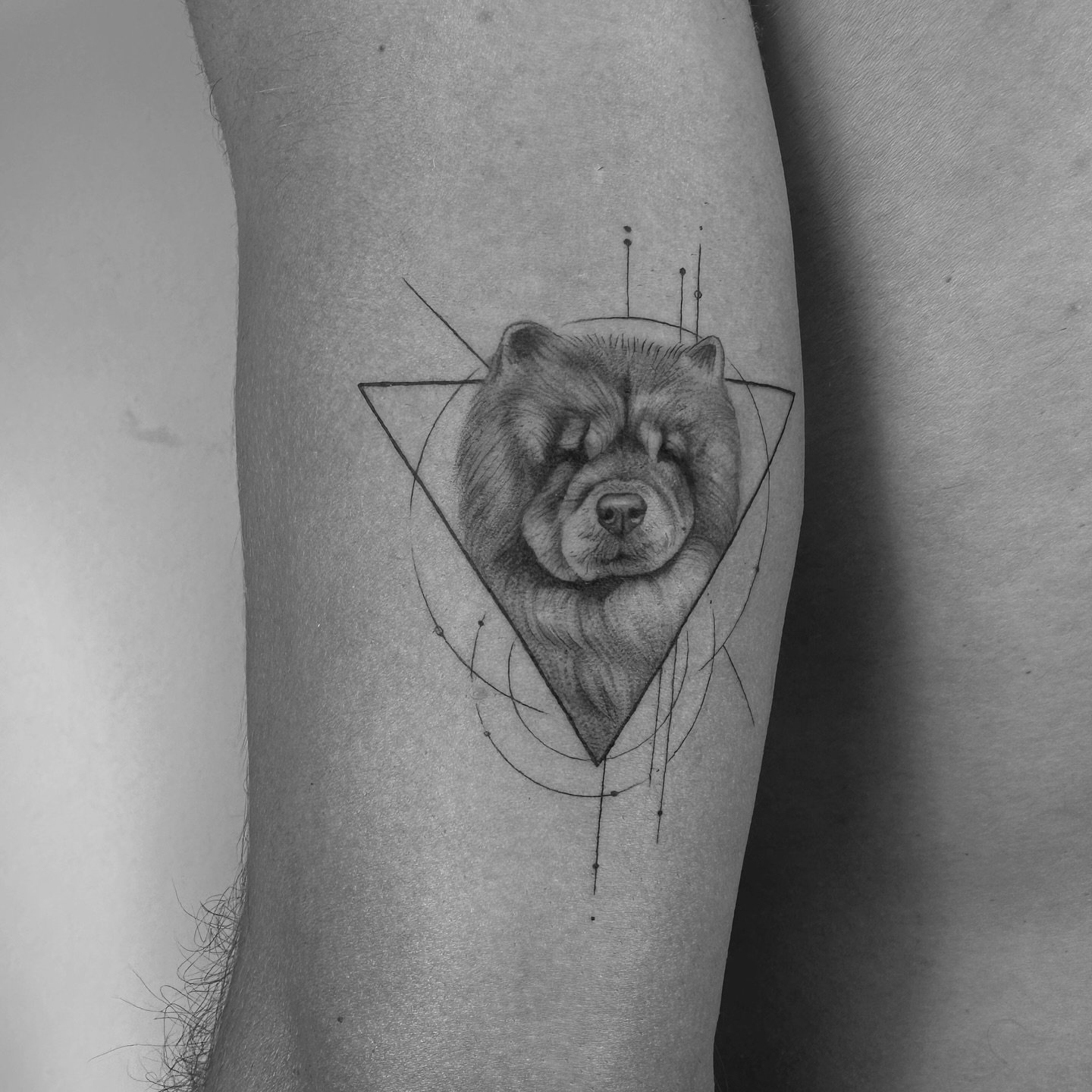 Tatuaje de pet en antebrazo, línea fina Sinkply Madrid
