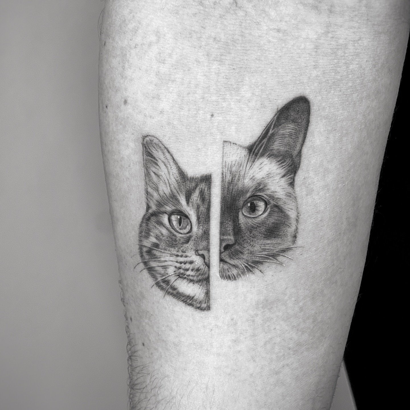 Tatuaje de pet en antebrazo, línea fina Sinkply Madrid