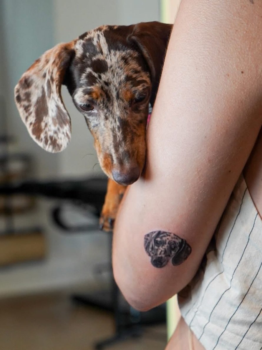 Tatuaje de pet en antebrazo, línea fina Sinkply Madrid