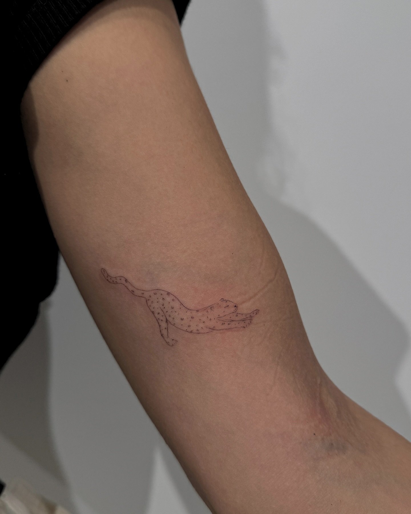 Tatuaje de pet en antebrazo, línea fina Sinkply Madrid