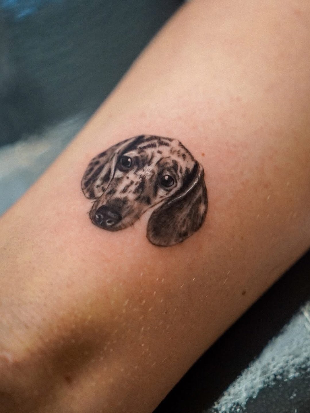 Tatuaje de pet en antebrazo, línea fina Sinkply Madrid