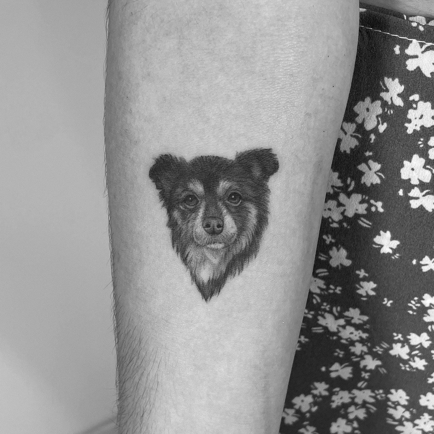 Tatuaje de pet en antebrazo, línea fina Sinkply Madrid