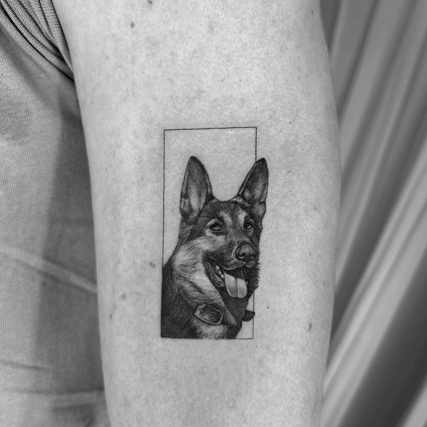 Tatuaje de pet en antebrazo, línea fina Sinkply Madrid