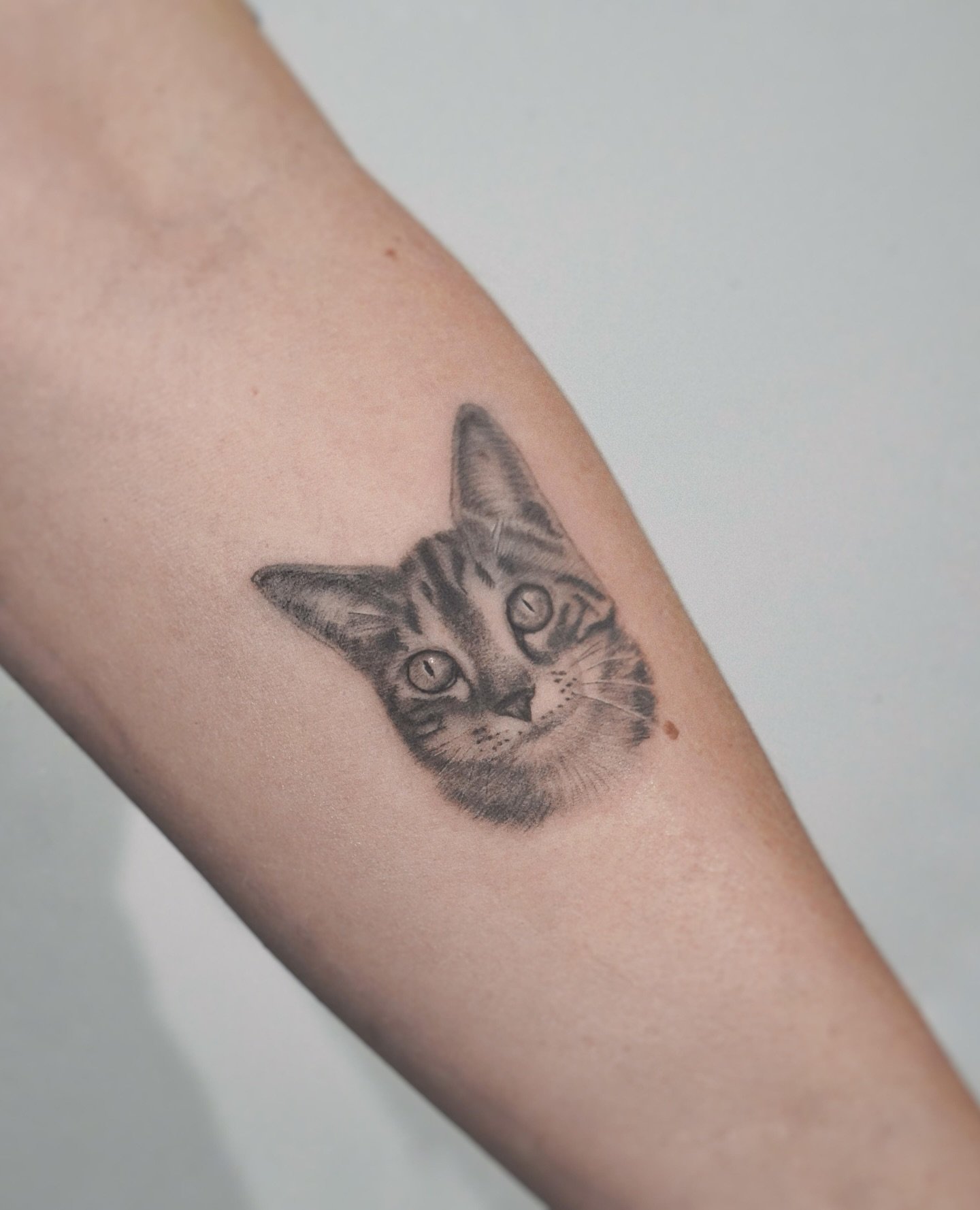 Tatuaje de pet en antebrazo, línea fina Sinkply Madrid