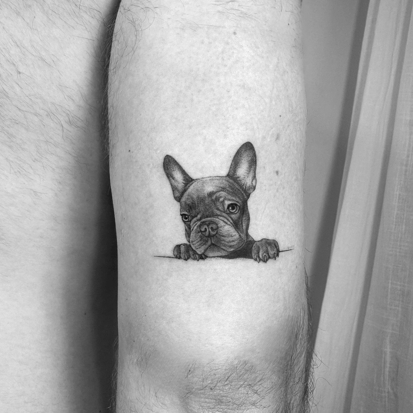 Tatuaje de pet en antebrazo, línea fina Sinkply Madrid