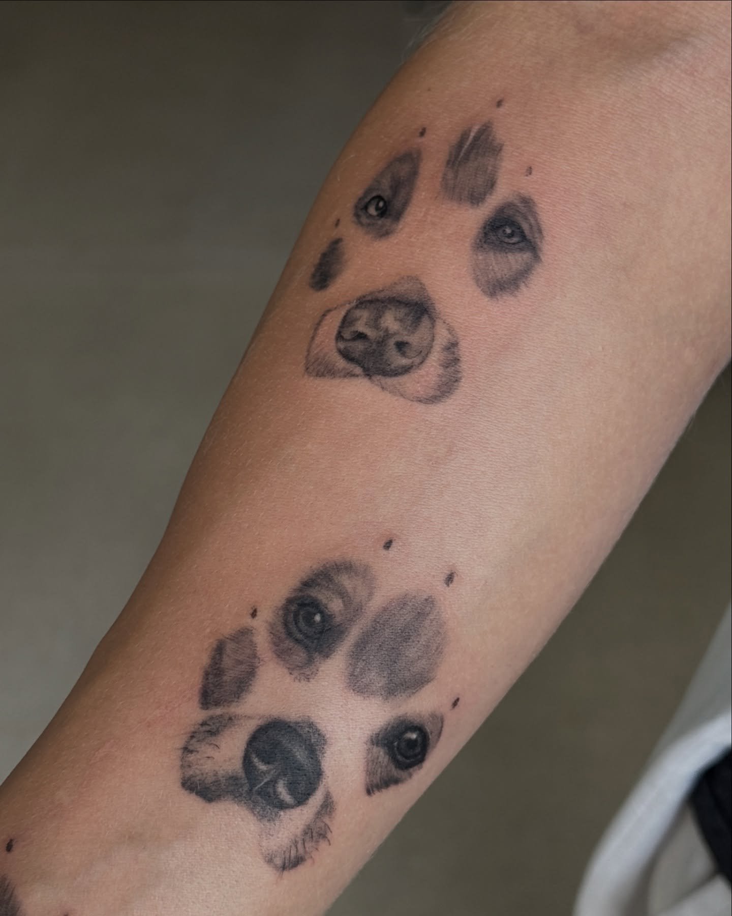 Tatuaje de pet en antebrazo, línea fina Sinkply Madrid