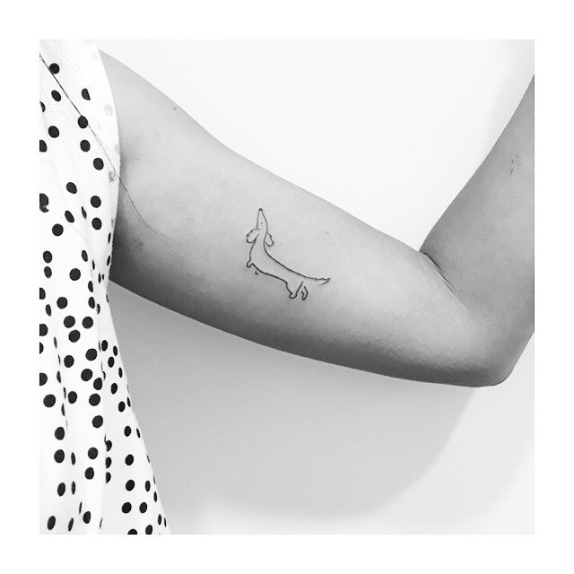 Tatuaje de pet en antebrazo, línea fina Sinkply Madrid