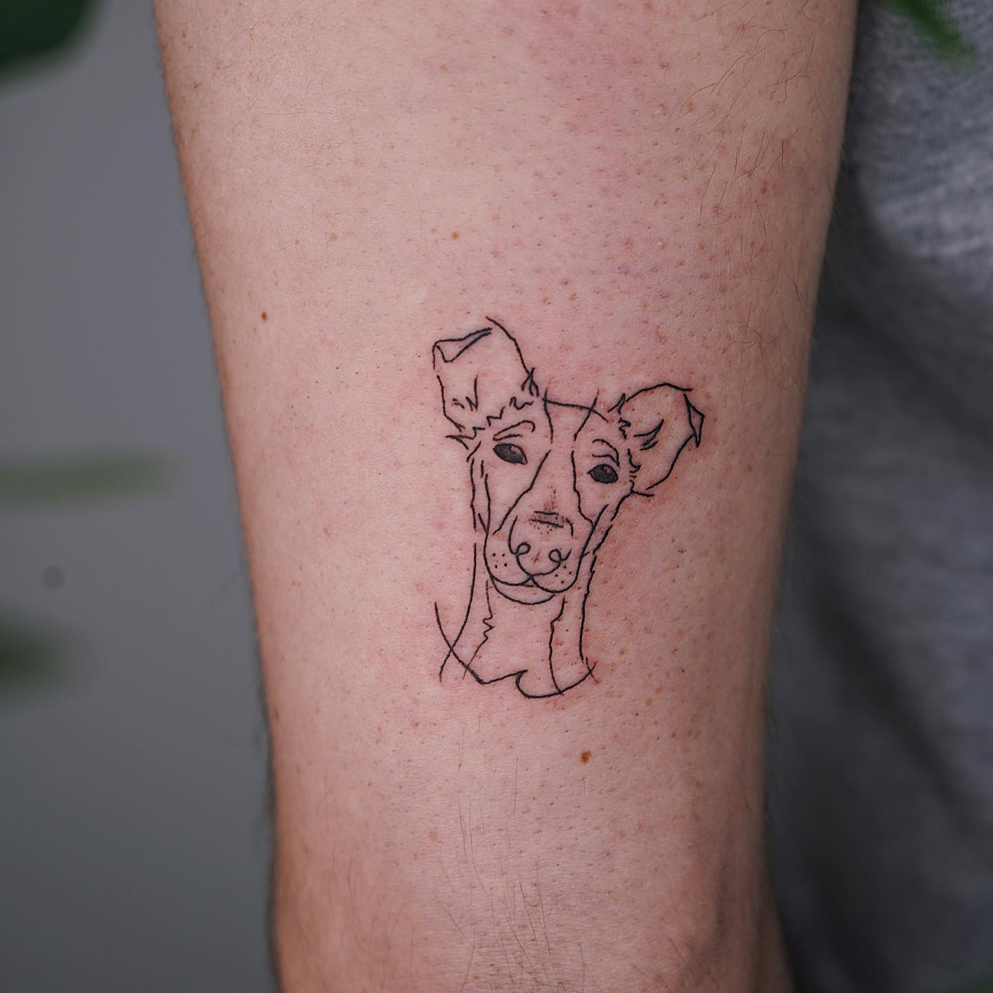 Tatuaje de pet en antebrazo, línea fina Sinkply Madrid