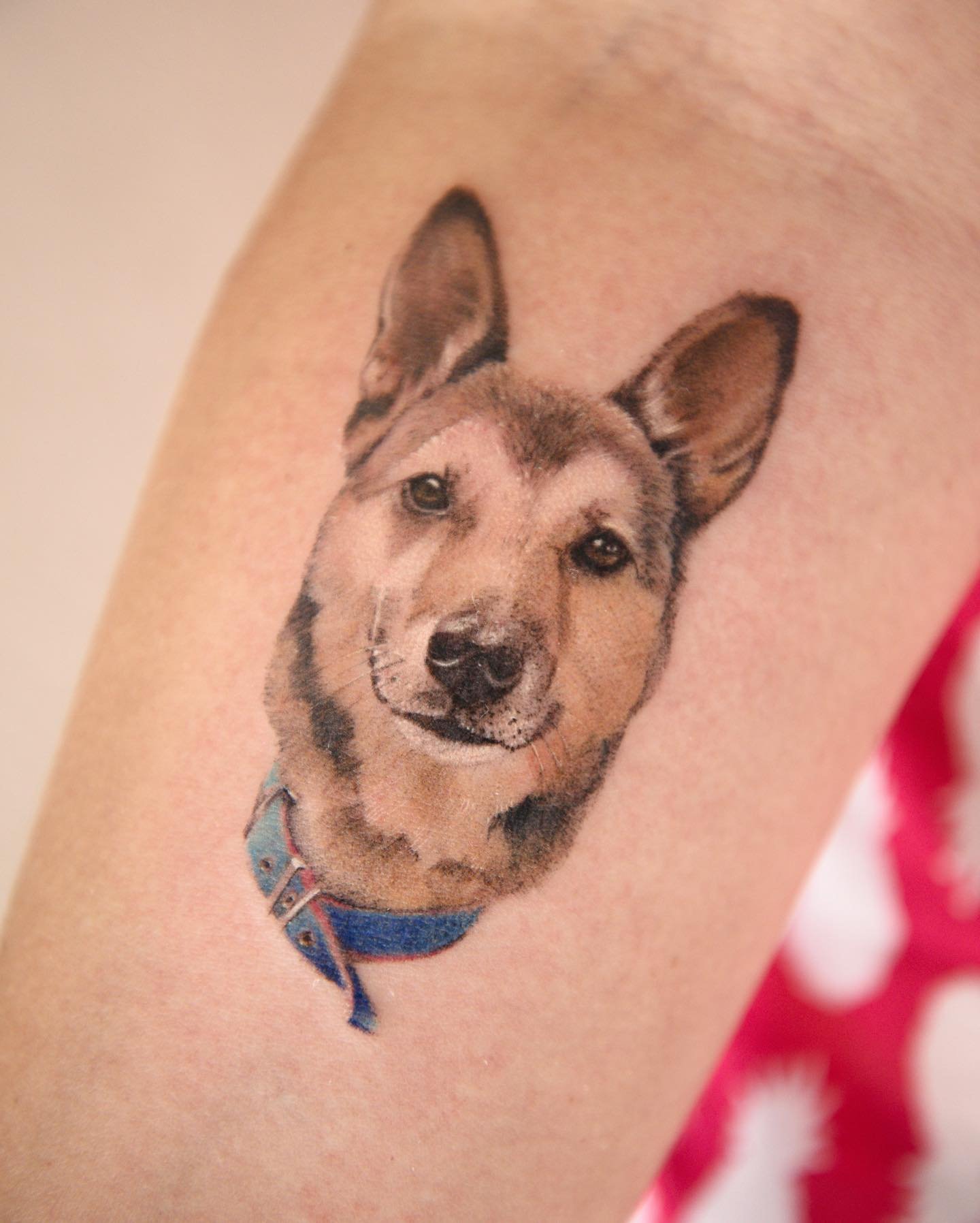 Tatuaje de pet en brazo, línea fina Sinkply Madrid