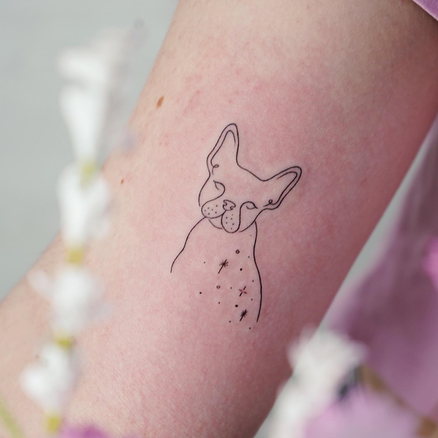 Tatuaje de pet en brazo, línea fina Sinkply Madrid