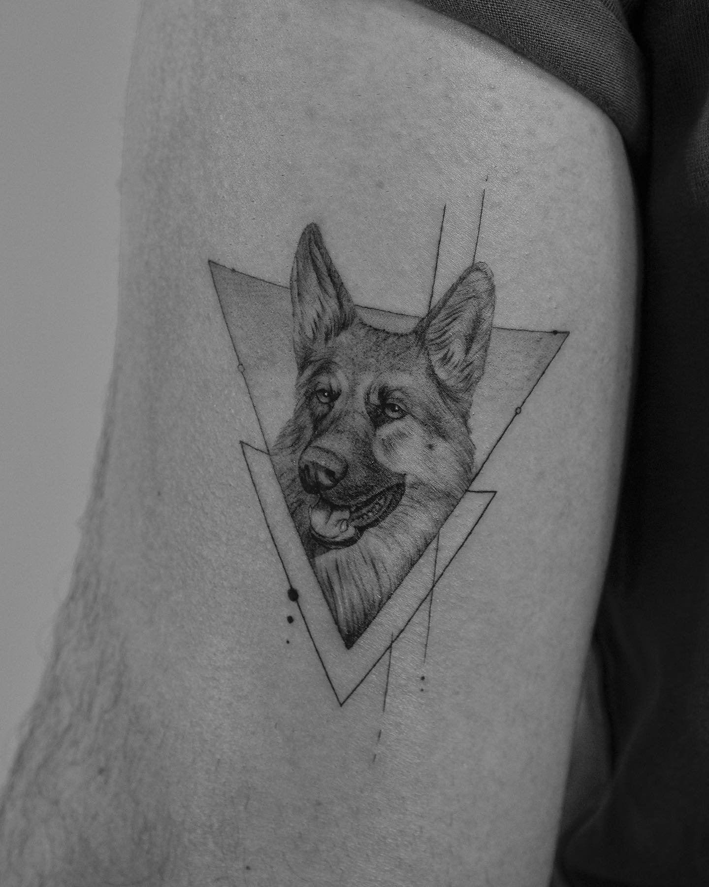 Tatuaje de pet en oreja, línea fina Sinkply Madrid