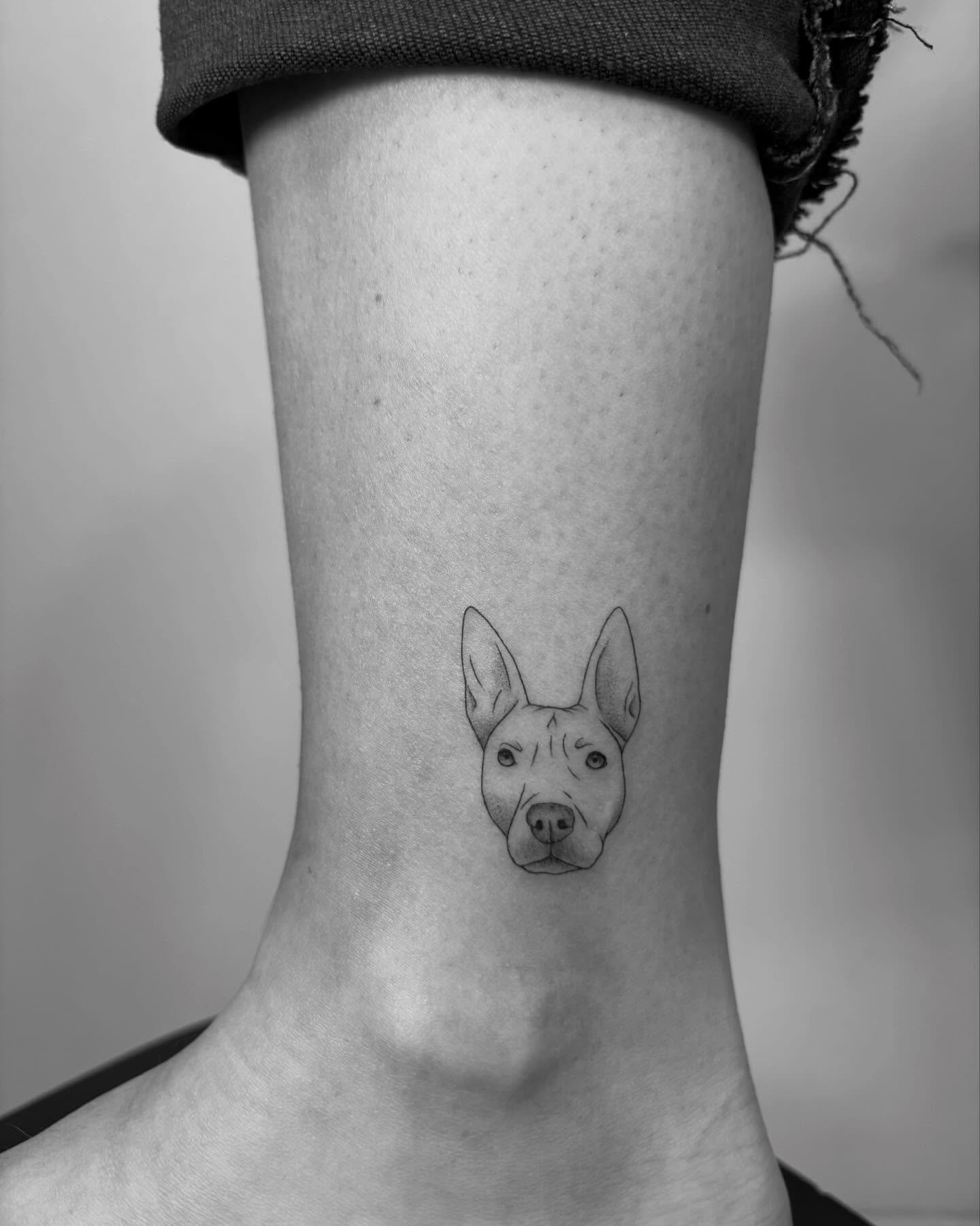 Tatuaje de pet en pie, línea fina Sinkply Madrid