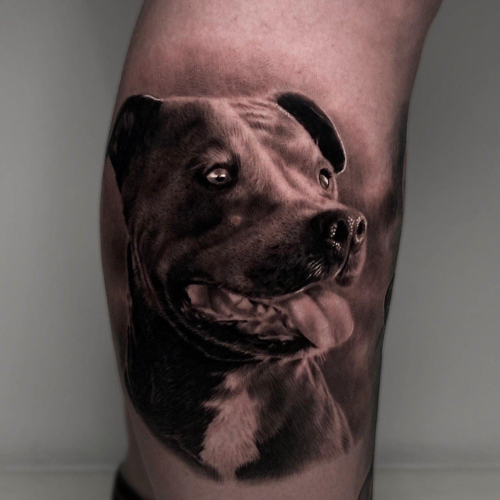Tatuaje de pet en pierna, línea fina Sinkply Madrid
