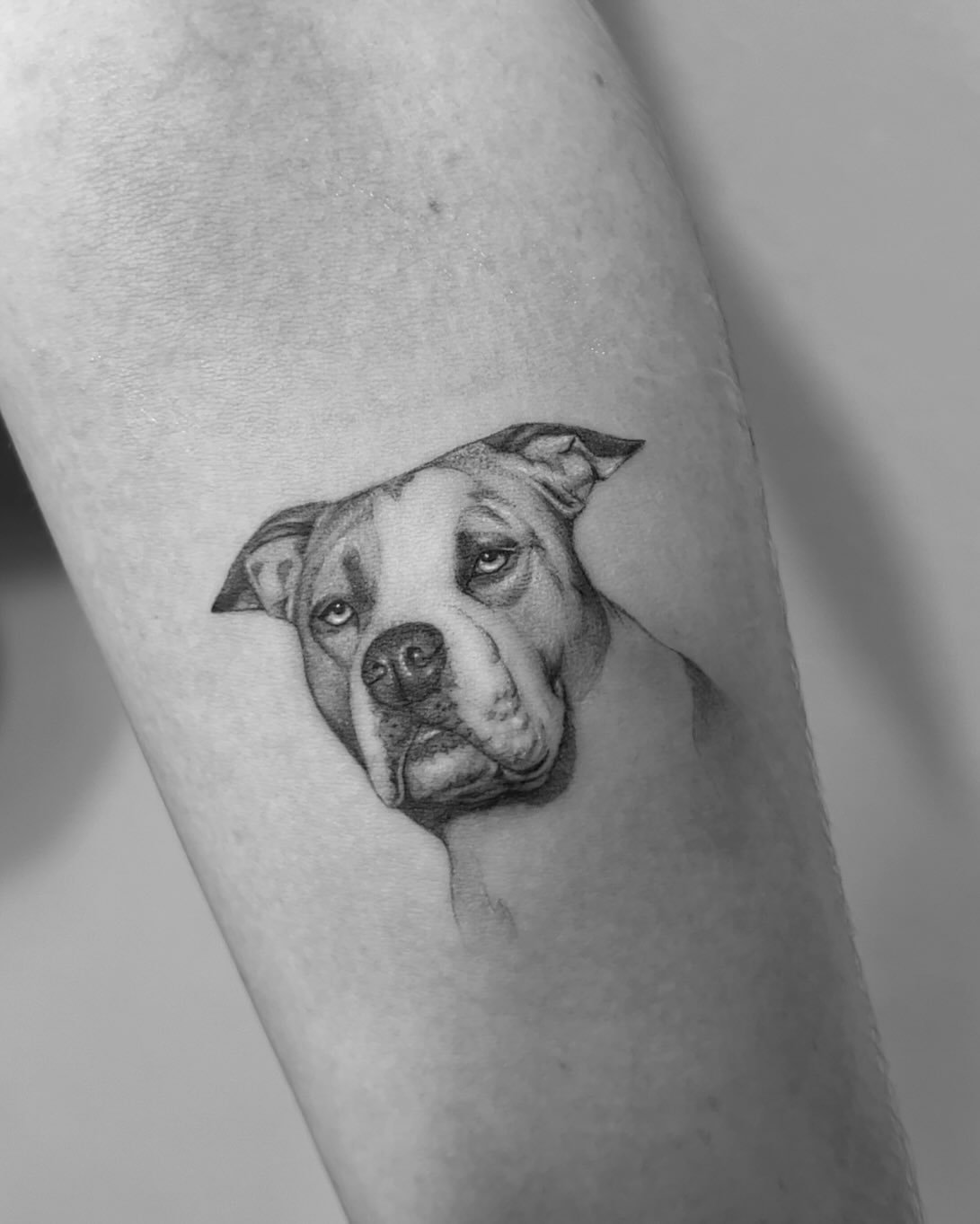 Tatuaje de pet en pierna, línea fina Sinkply Madrid