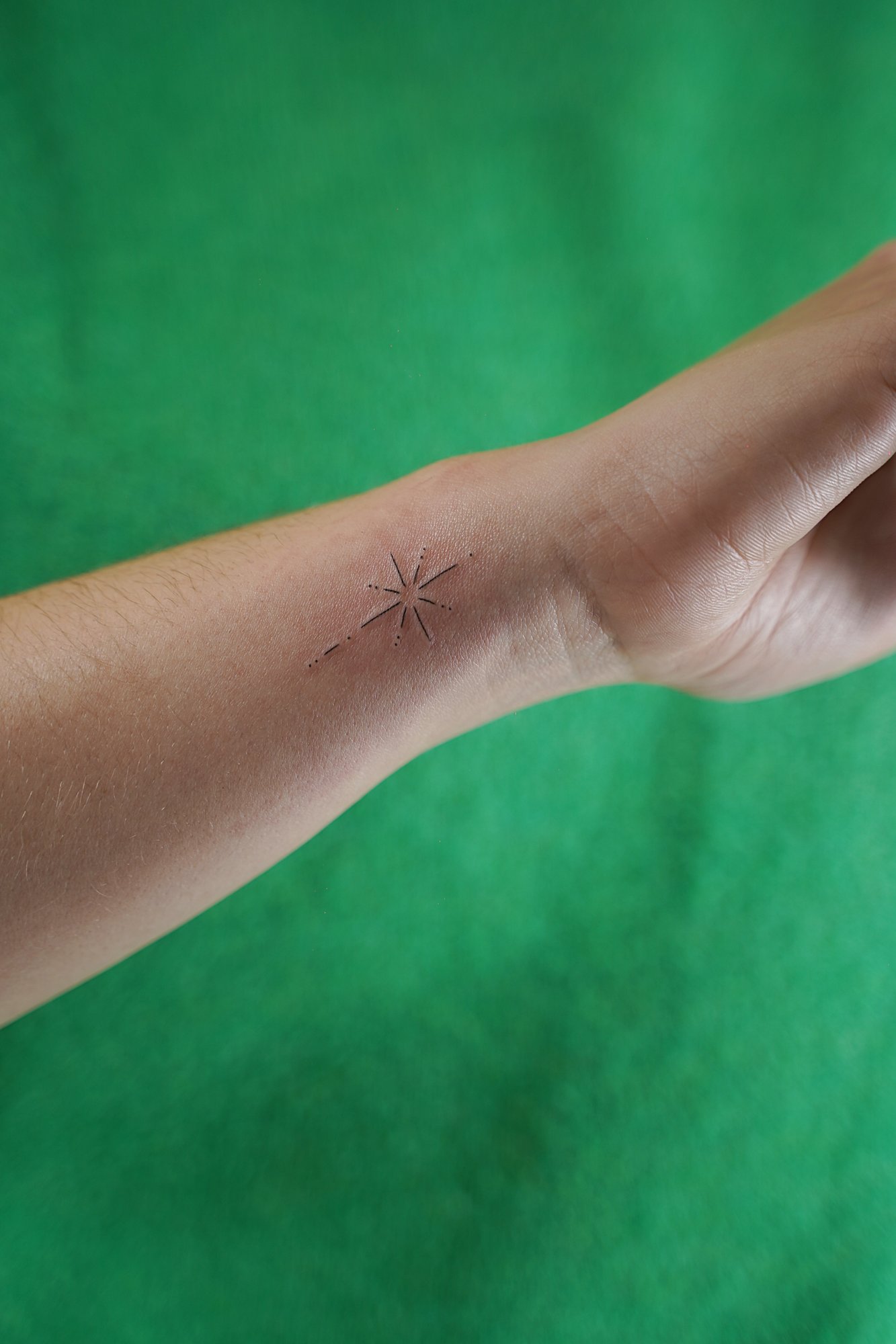 Tatuaje de caballo lineal en zona desconocida, línea fina