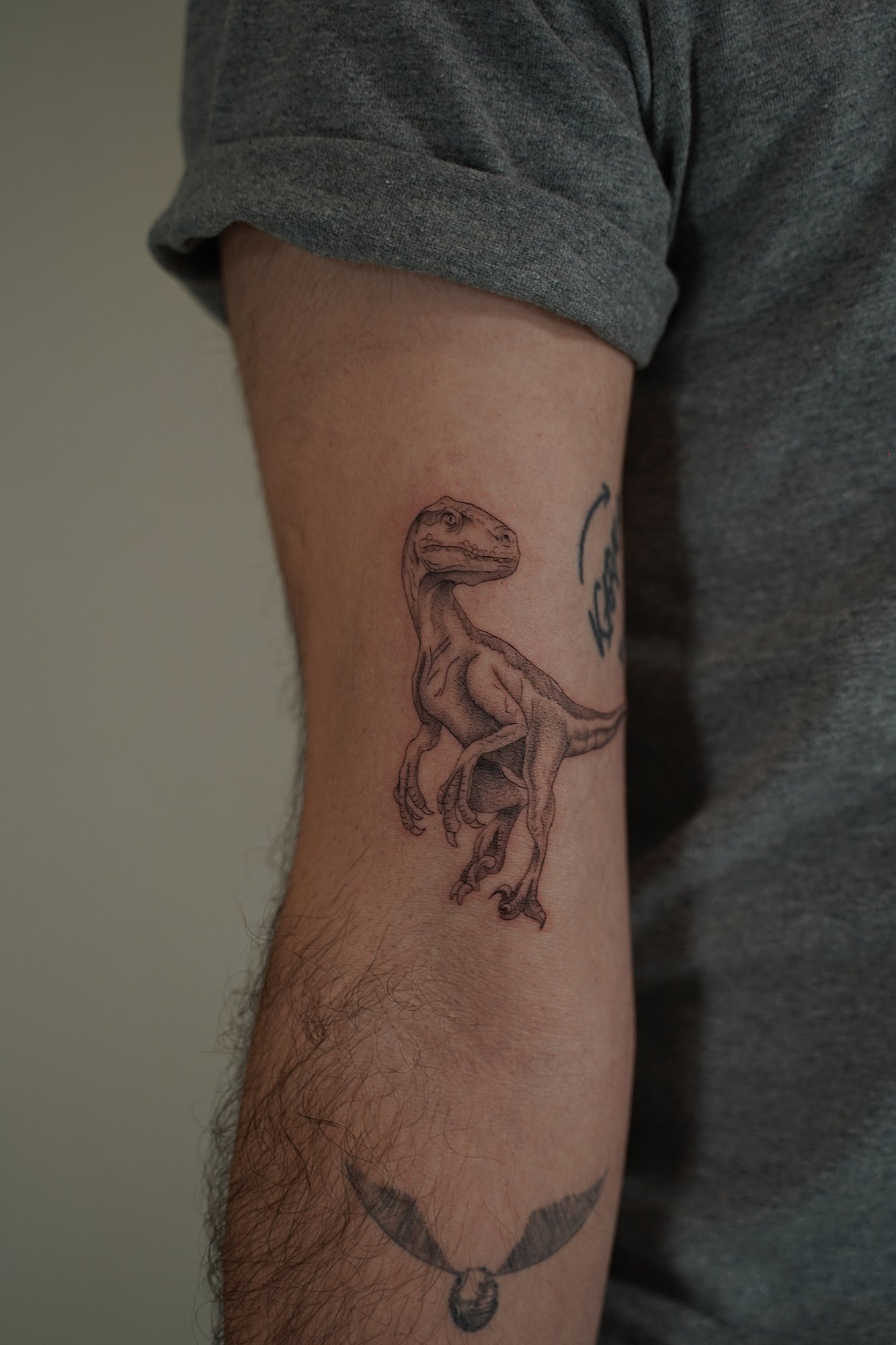 Tatuaje de dinosaurio en zona desconocida, línea fina