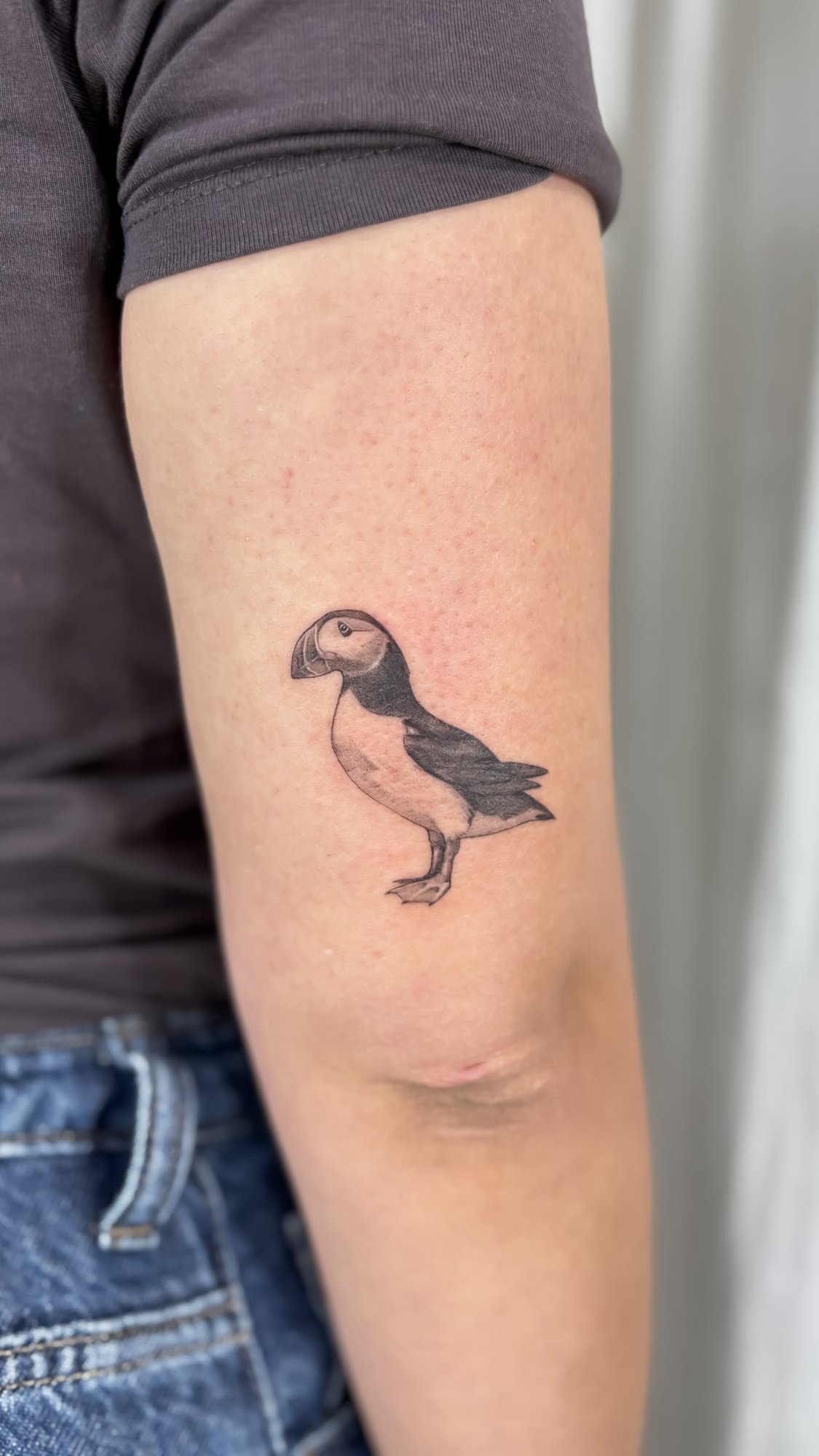 Tatuaje de frailecillo realista blanco ne en brazo, línea fina