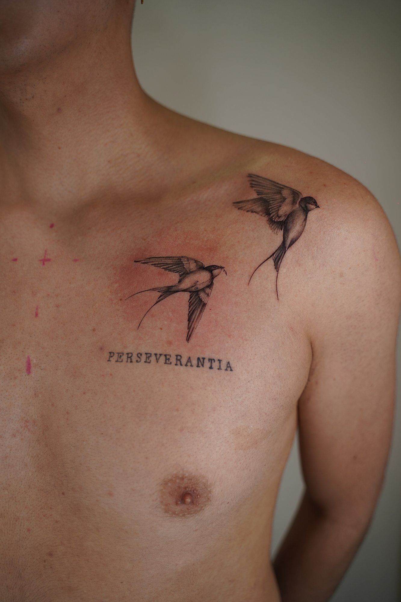Tatuaje de golondrinas dos en zona desconocida, línea fina