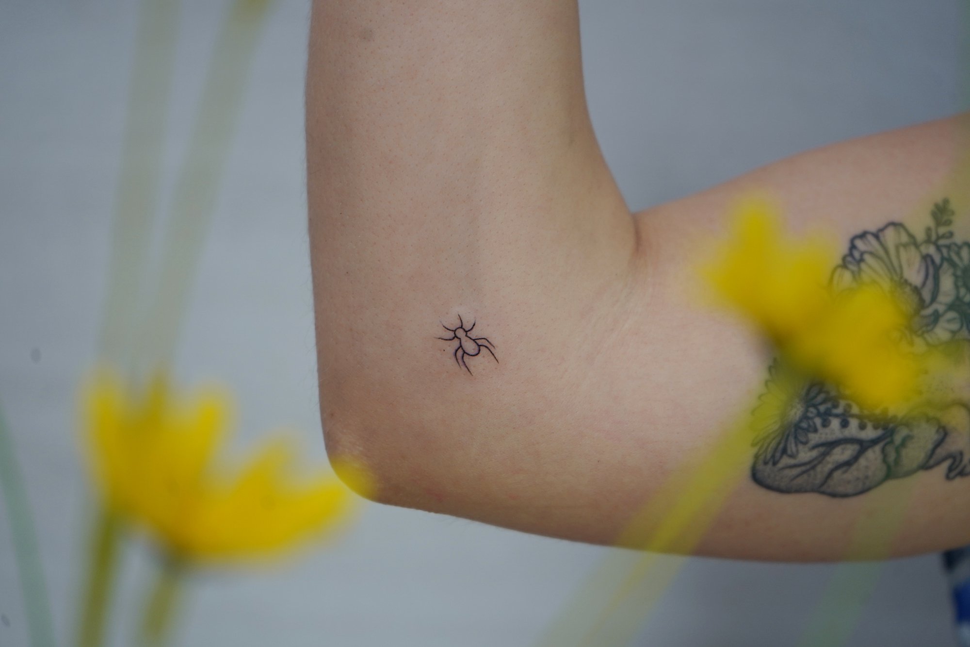 Tatuaje de hormiga en zona desconocida, línea fina