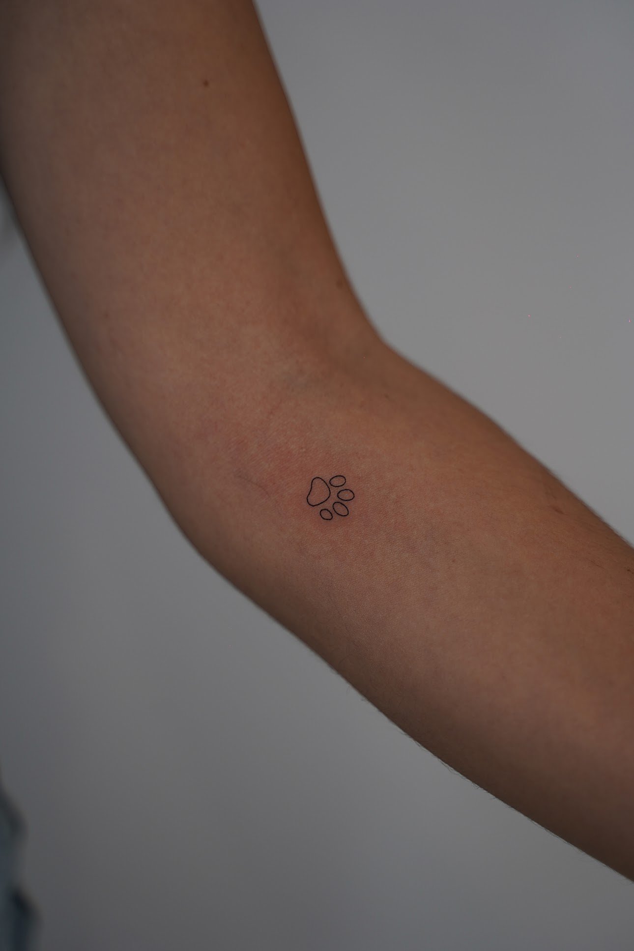 Tatuaje de huella patita minimalista outl en brazo, línea fina