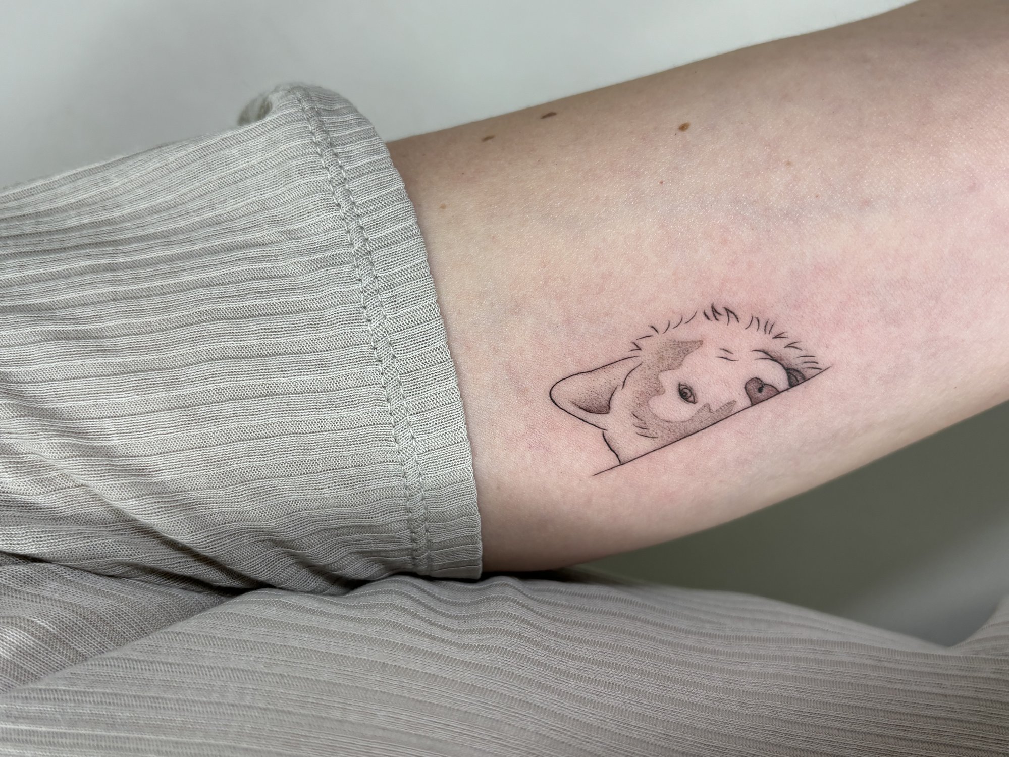 Tatuaje de lobo en zona desconocida, línea fina
