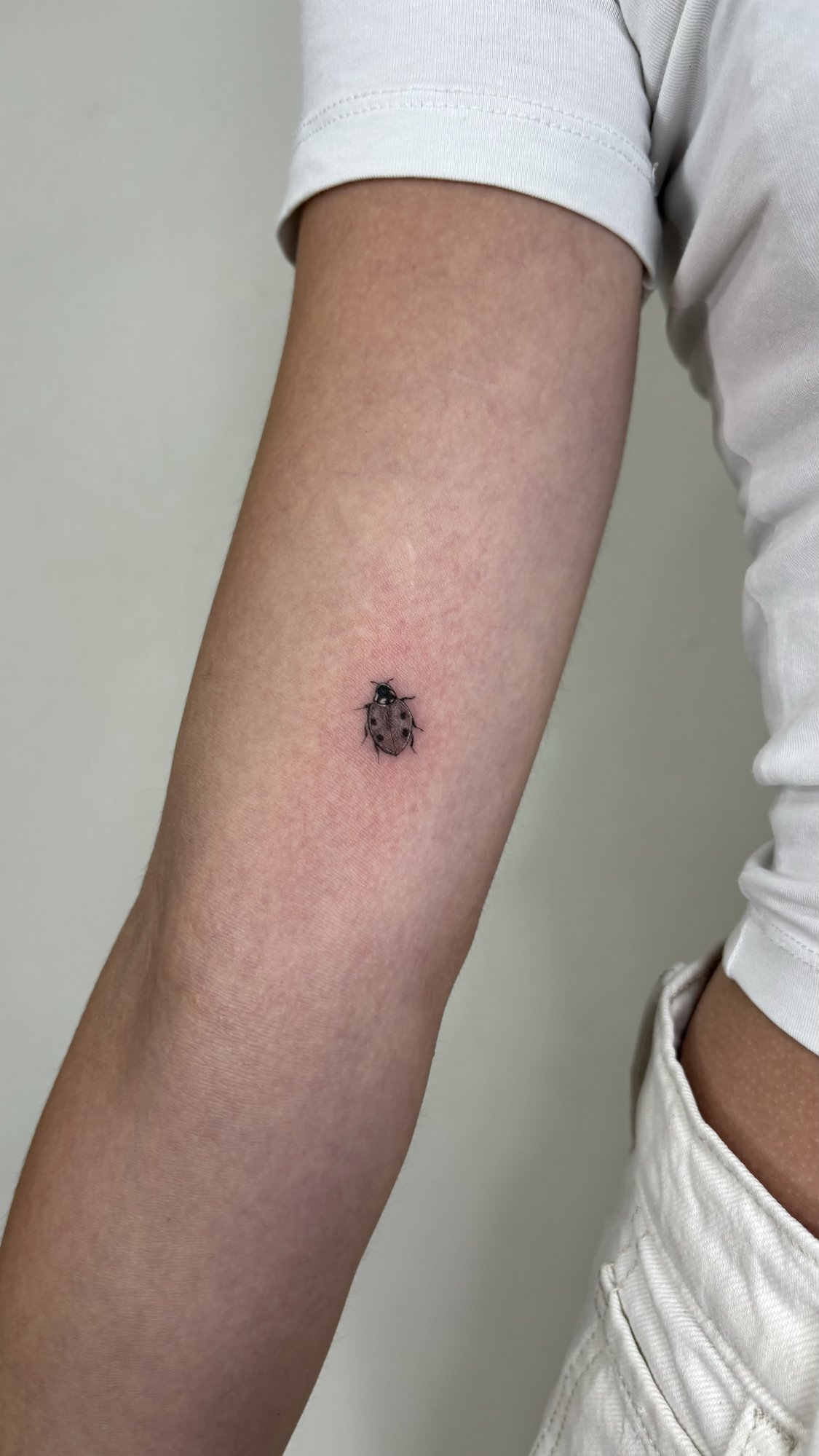 Tatuaje de mariquita realista pequeña en brazo, línea fina