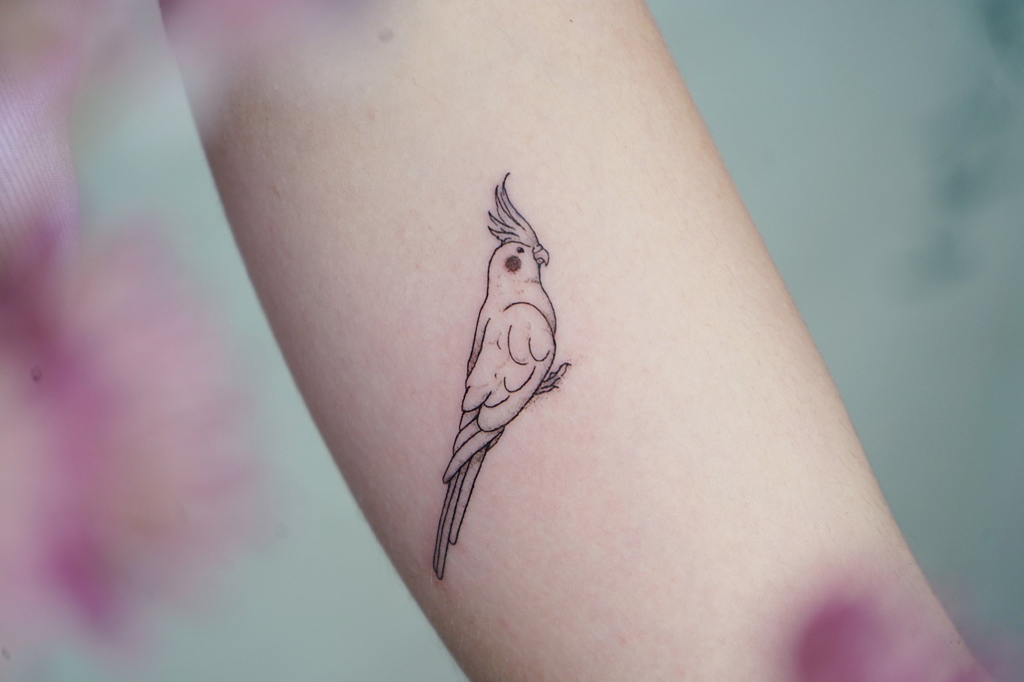 Tatuaje de pajaro en biceps, línea fina