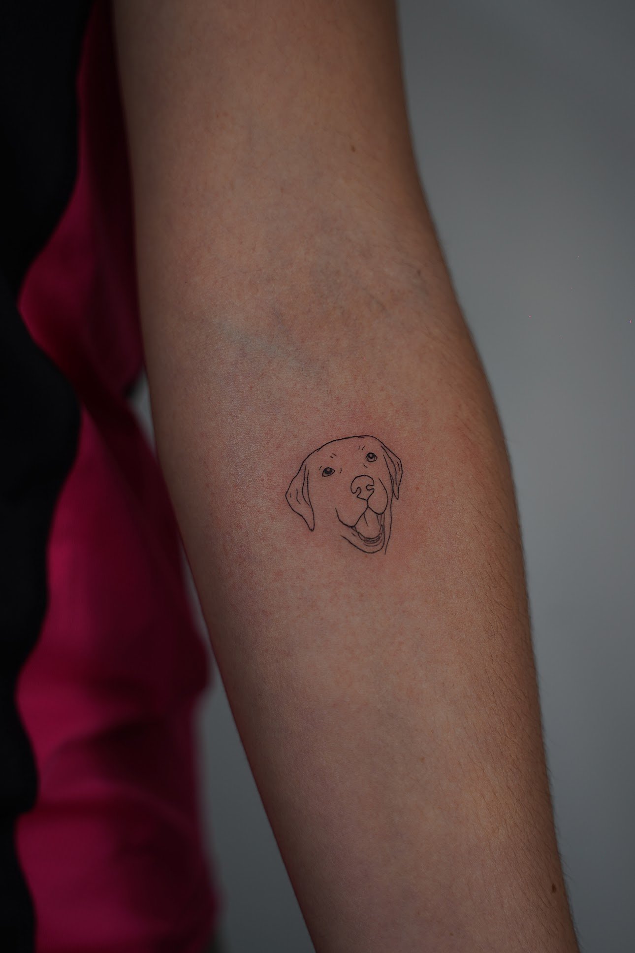 Tatuaje de perro lineal en zona desconocida, línea fina