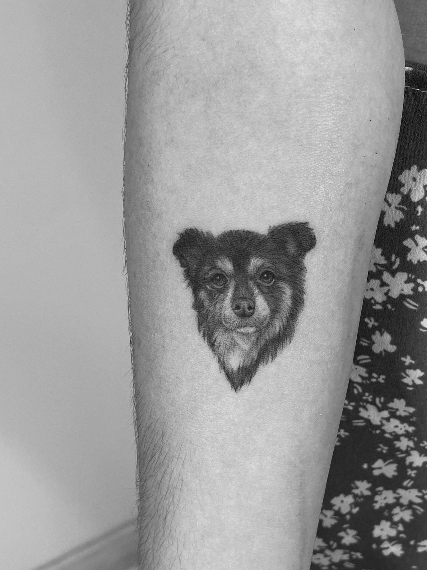 Tatuaje de perro realista en zona desconocida, línea fina