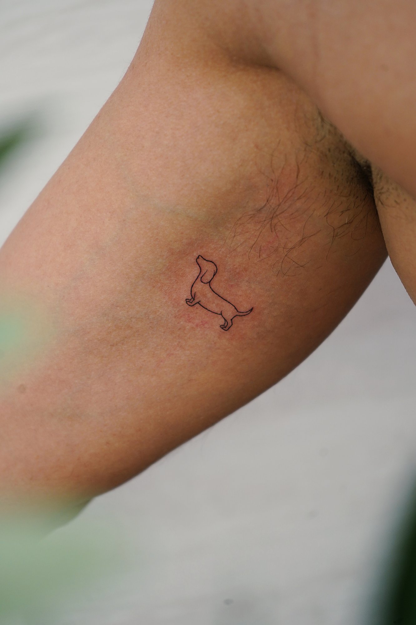 Tatuaje de perro en biceps, línea fina