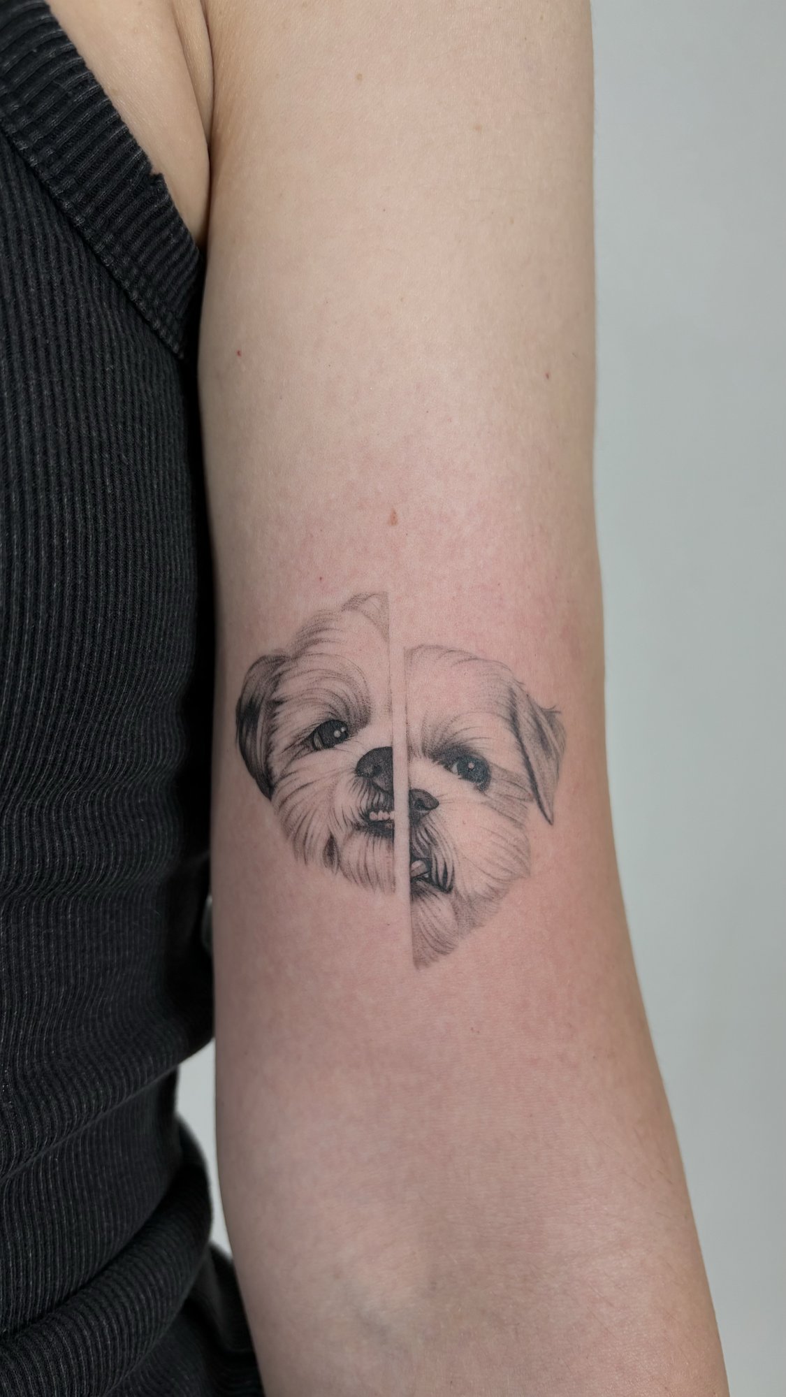 Tatuaje de retrato dividido dos perros en brazo, línea fina