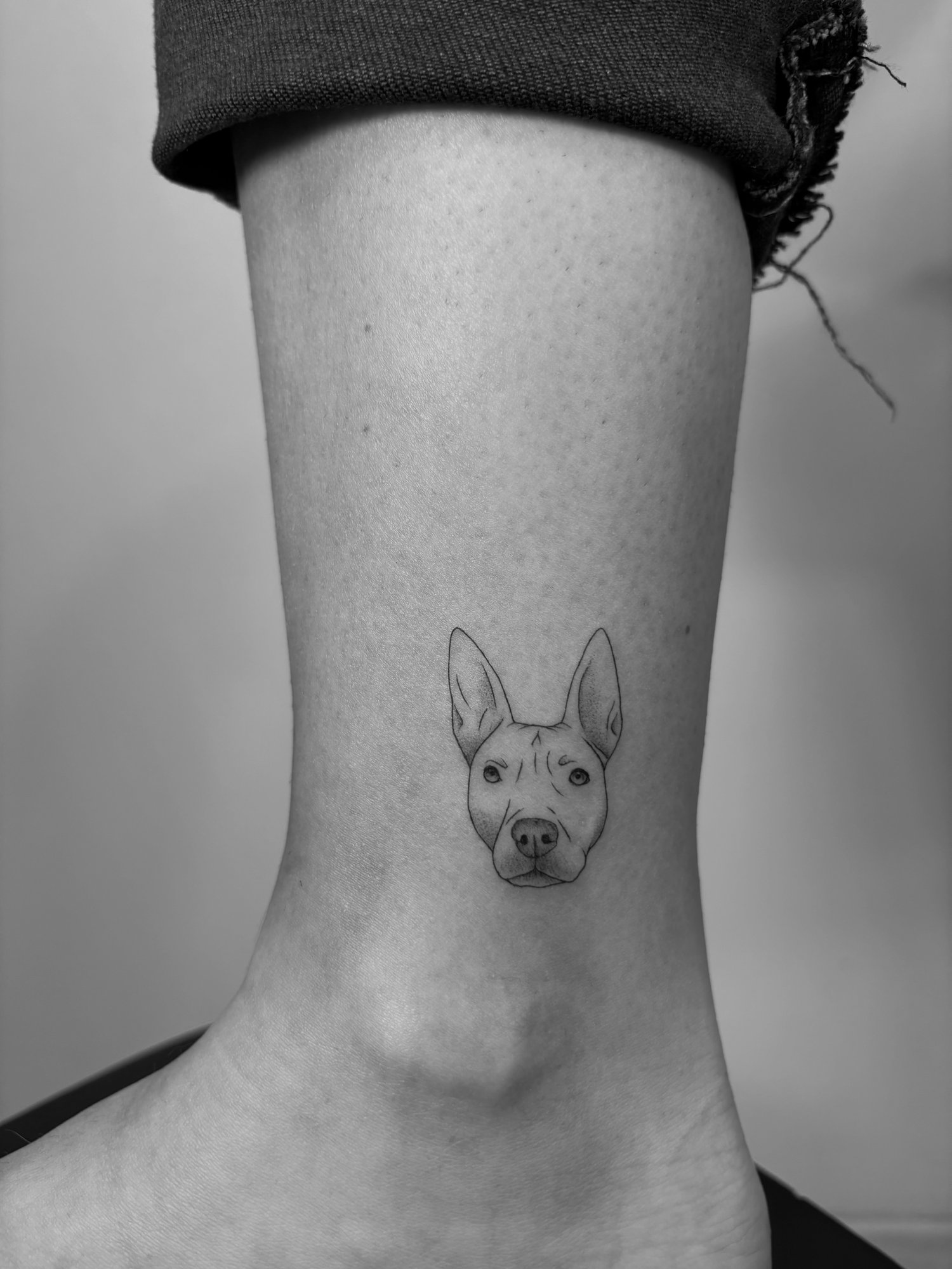Tatuaje de retrato minimalista perro pitb en tobillo, línea fina