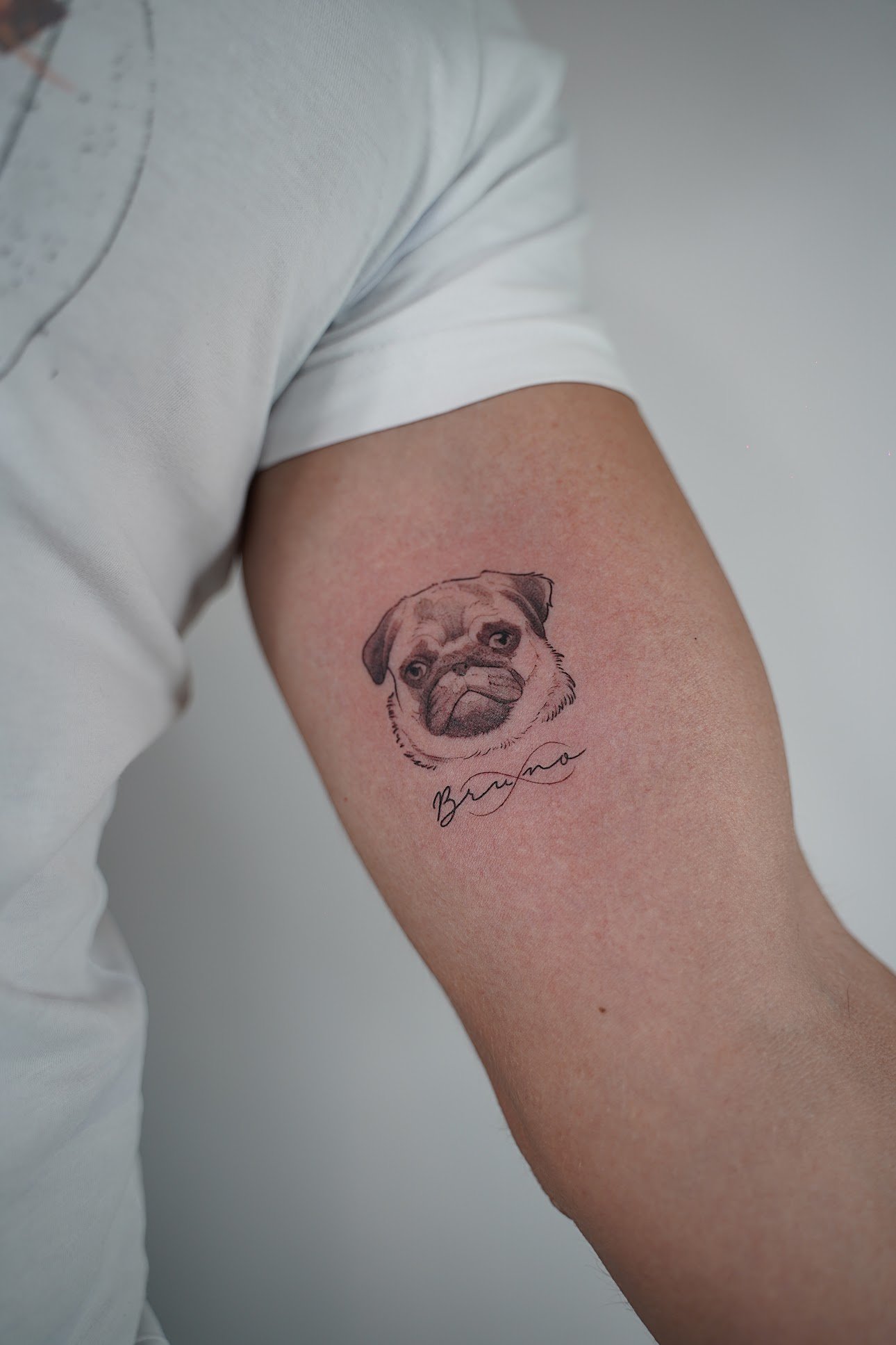 Tatuaje de retrato pug con nombre en brazo, línea fina