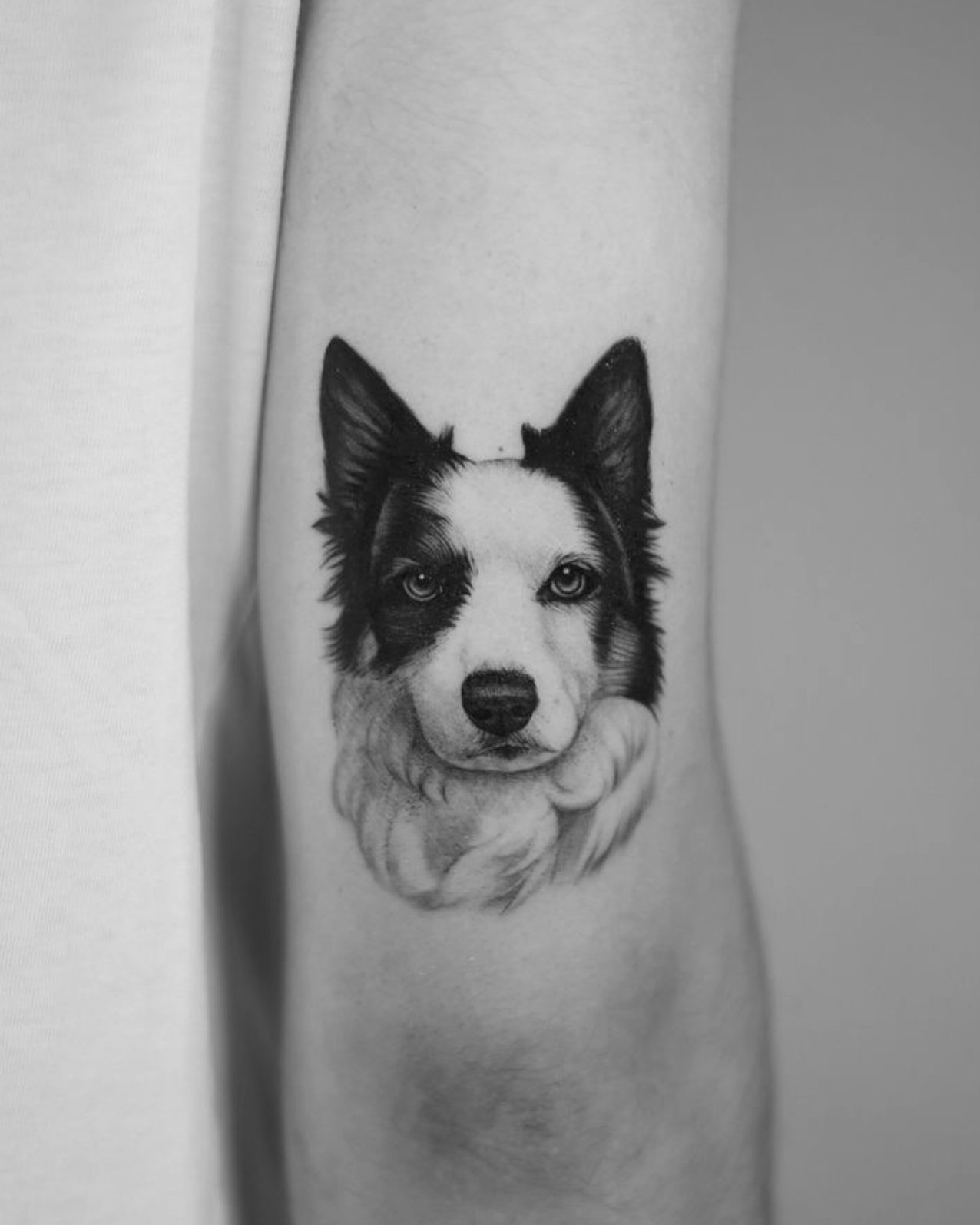 Tatuaje de retrato realista border collie en antebrazo, línea fina