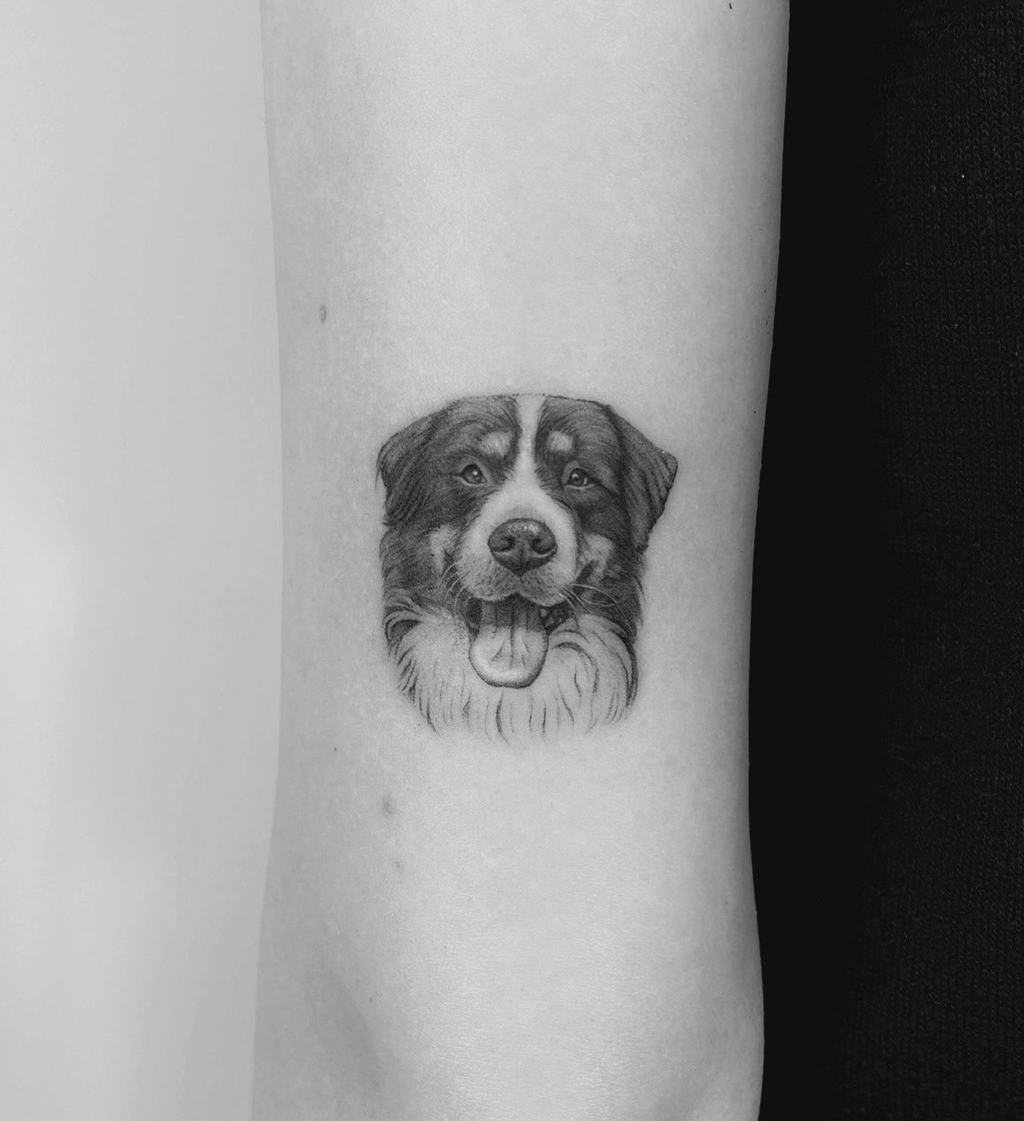 Tatuaje de retrato realista perro pastor en antebrazo, línea fina