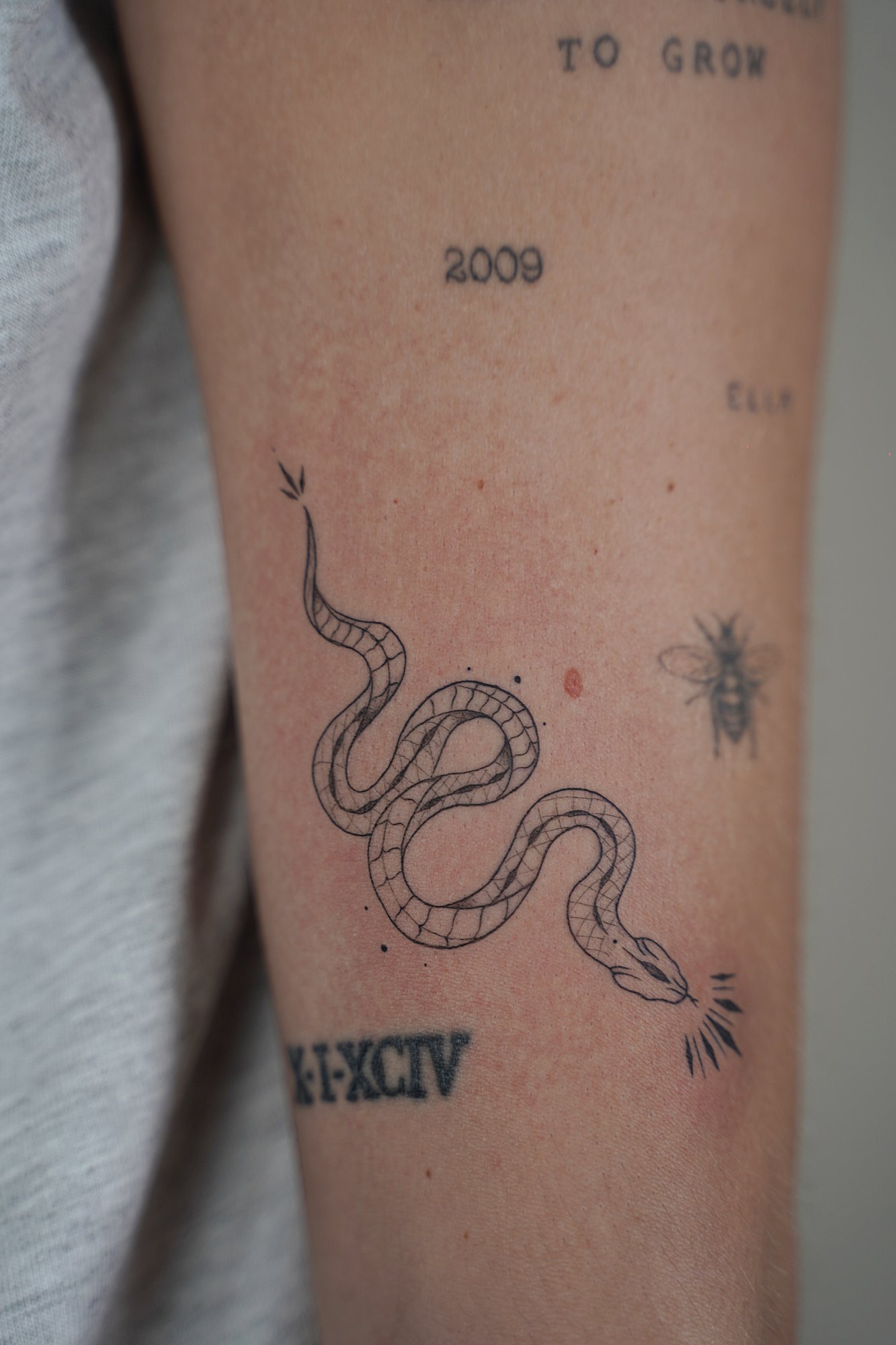 Tatuaje de serpiente en zona desconocida, línea fina