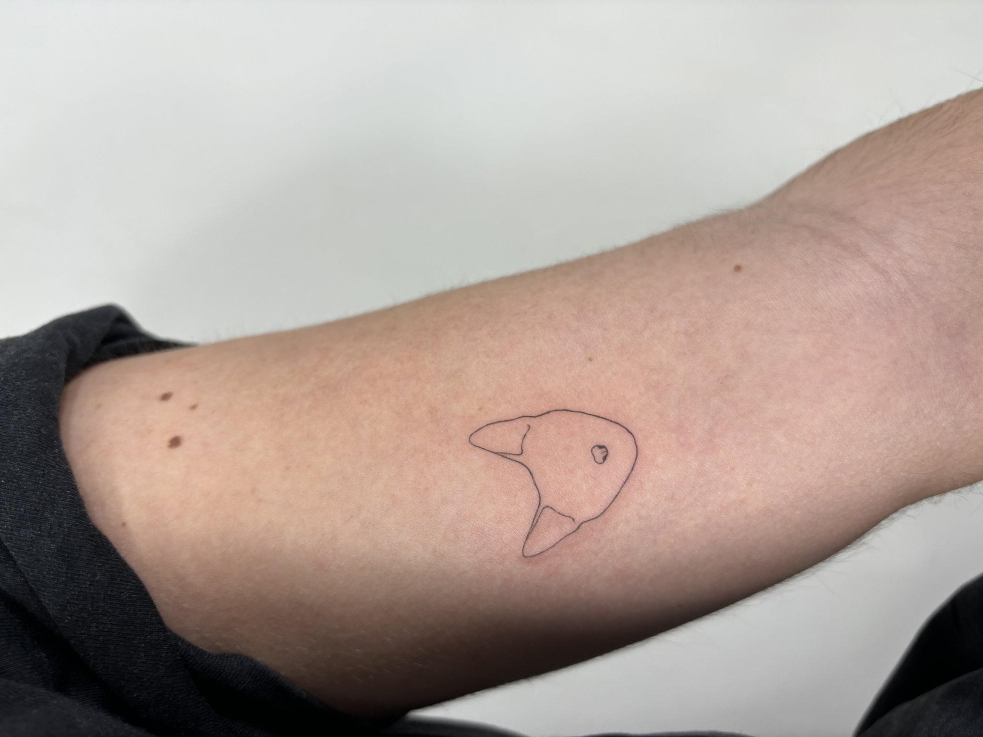 Tatuaje de silueta minimalista cabeza gat en brazo, línea fina