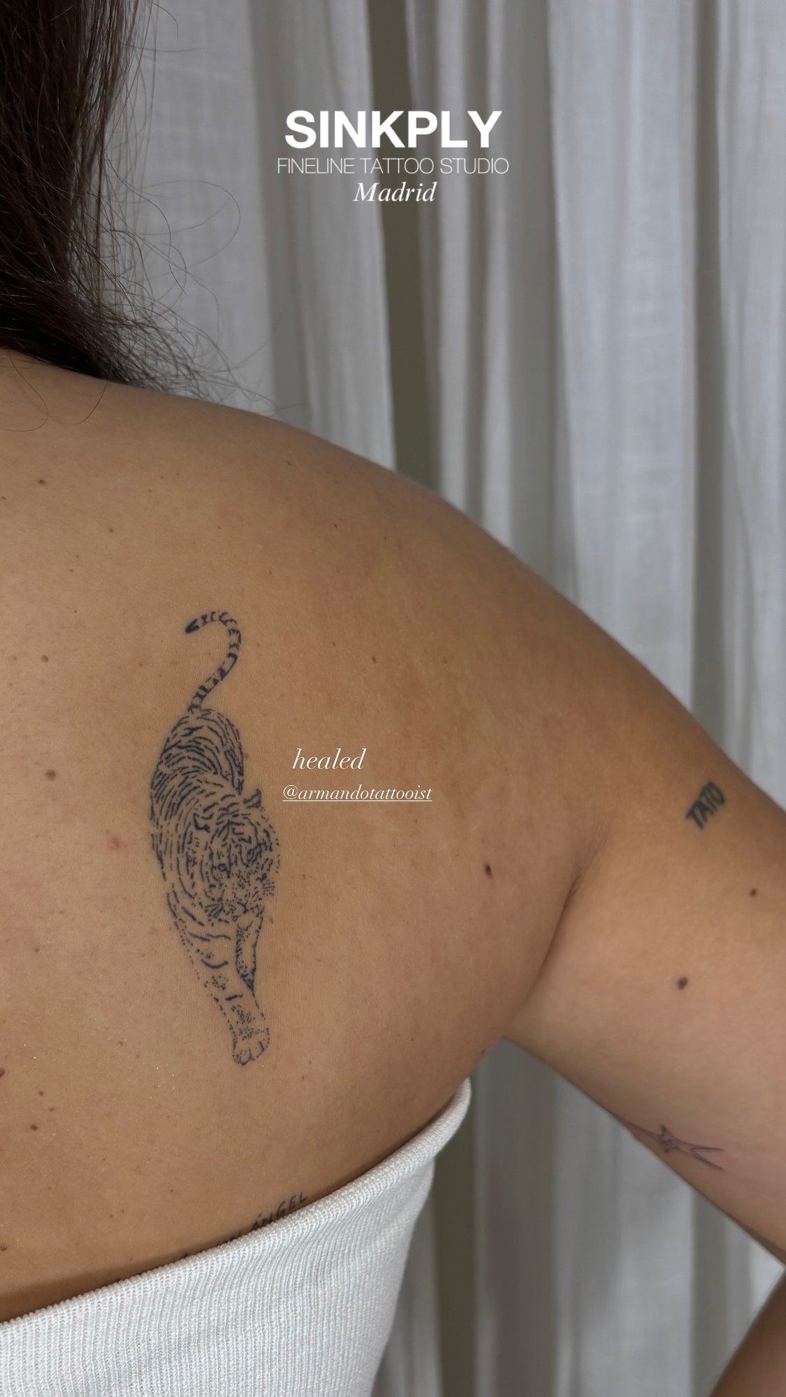 Tatuaje de tigre fineline caminando en espalda, línea fina