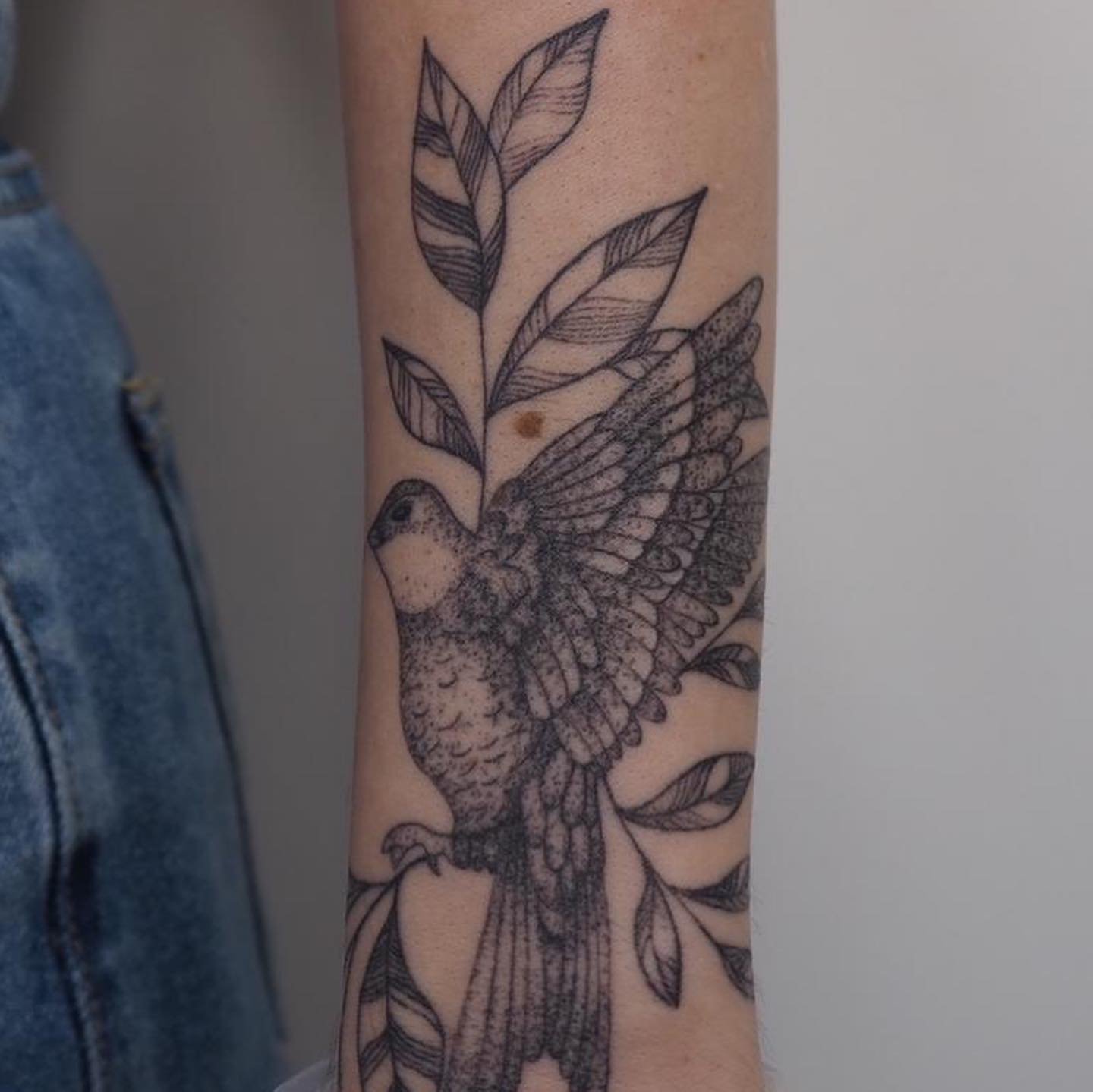 Tatuaje de flor en antebrazo, línea fina Sinkply Madrid